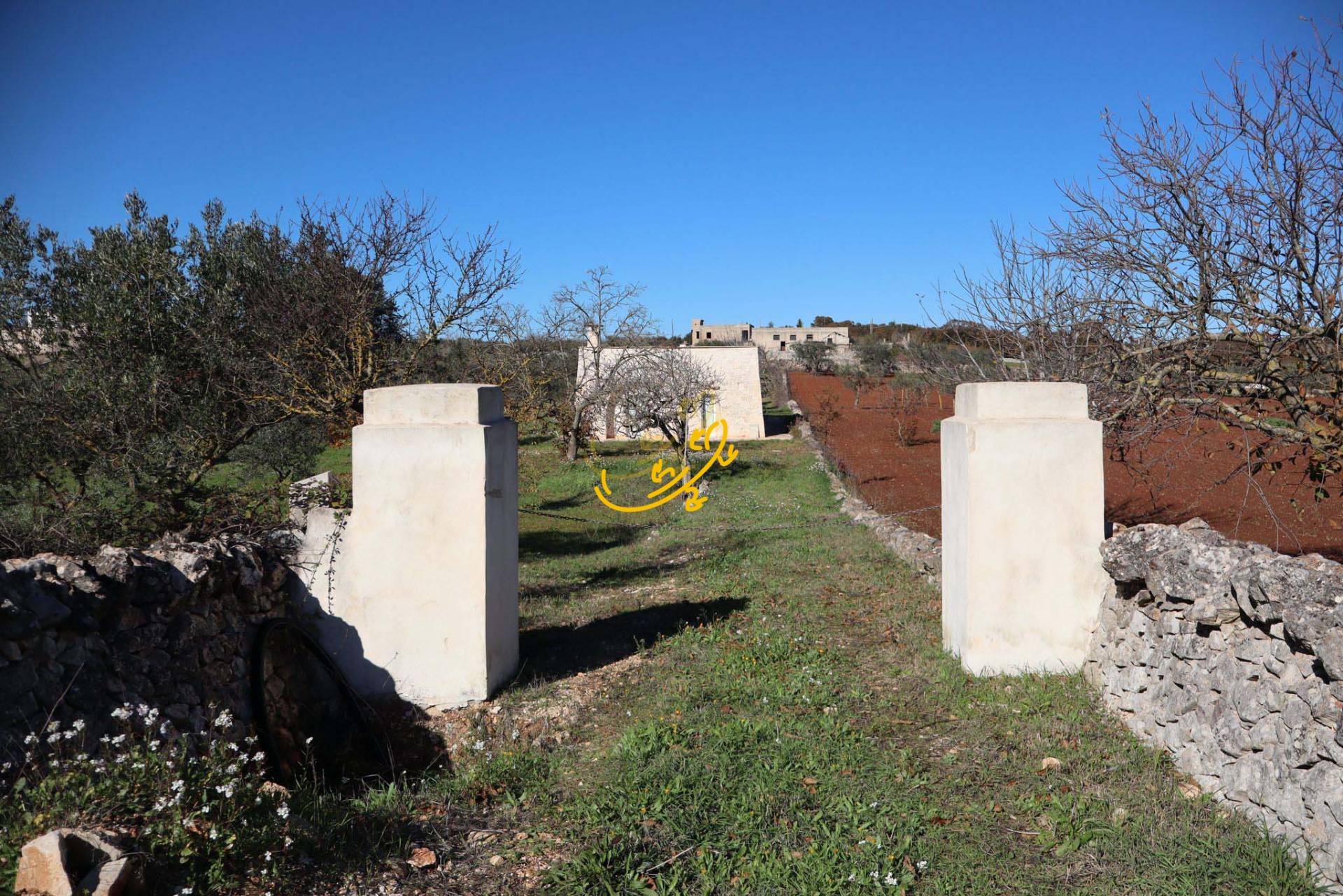 Rustico in vendita a Martina Franca