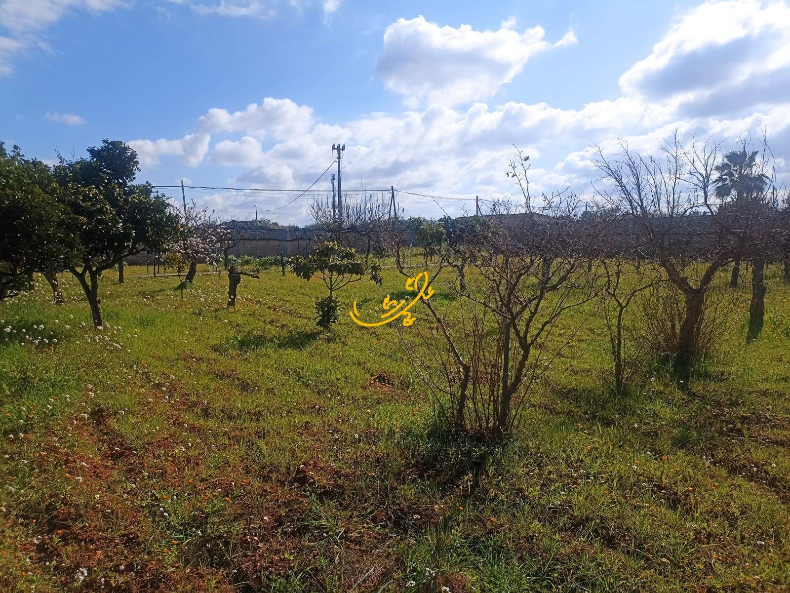 Villa in vendita a Conversano