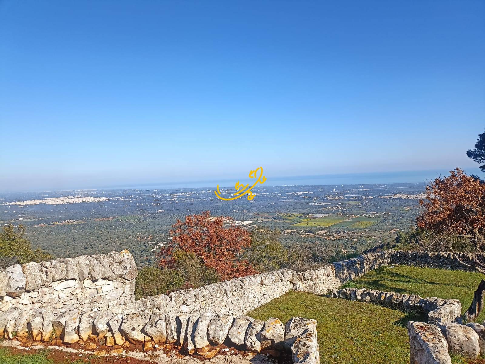 Villa in vendita a Locorotondo