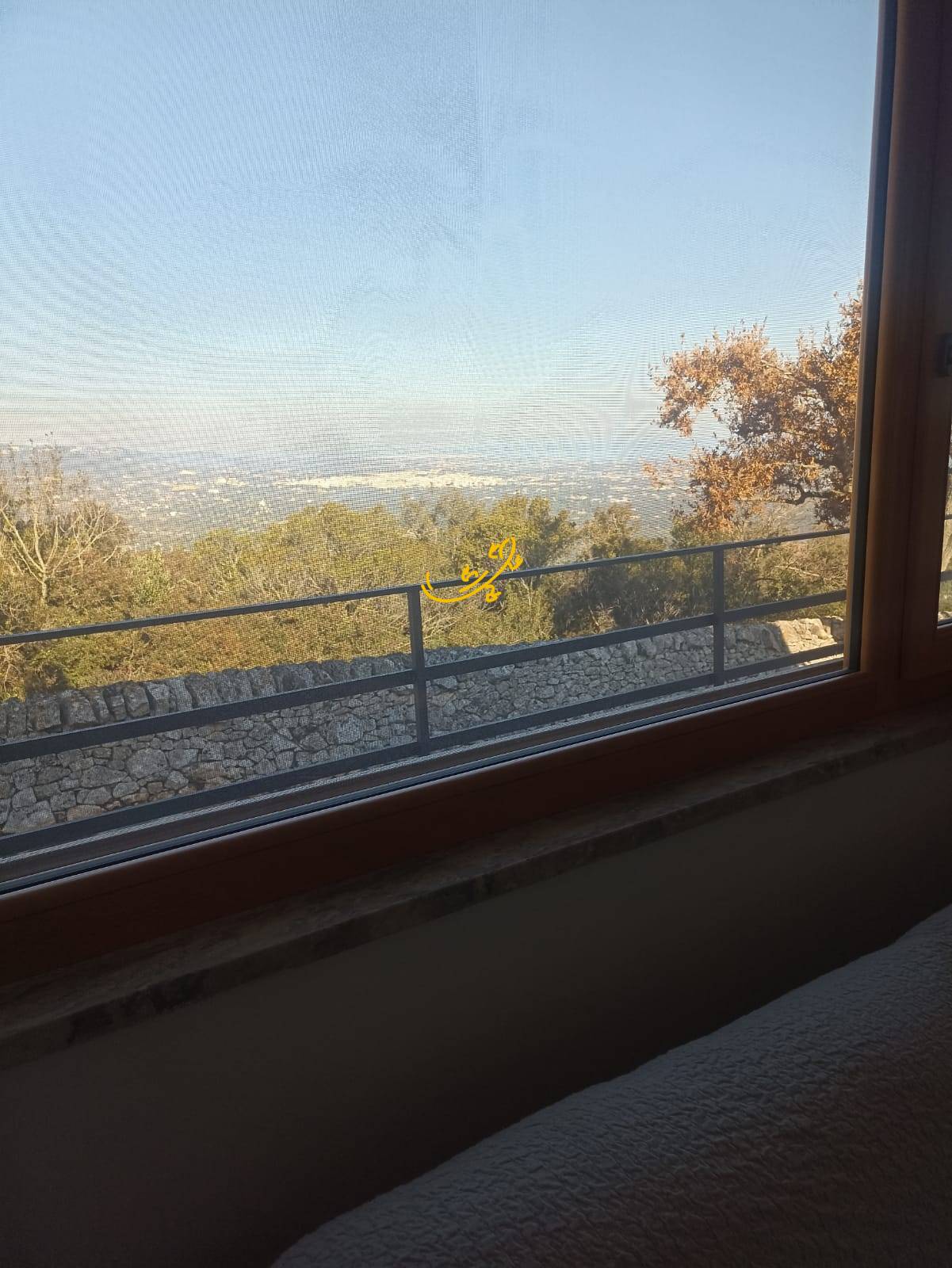 Villa in vendita a Locorotondo