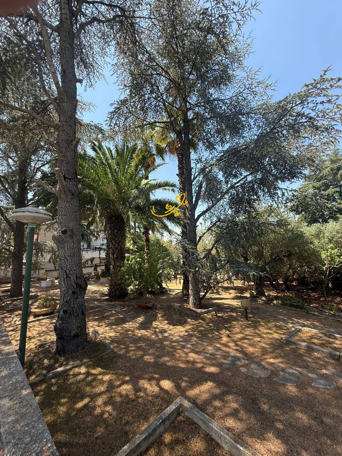 Villa in vendita a Putignano