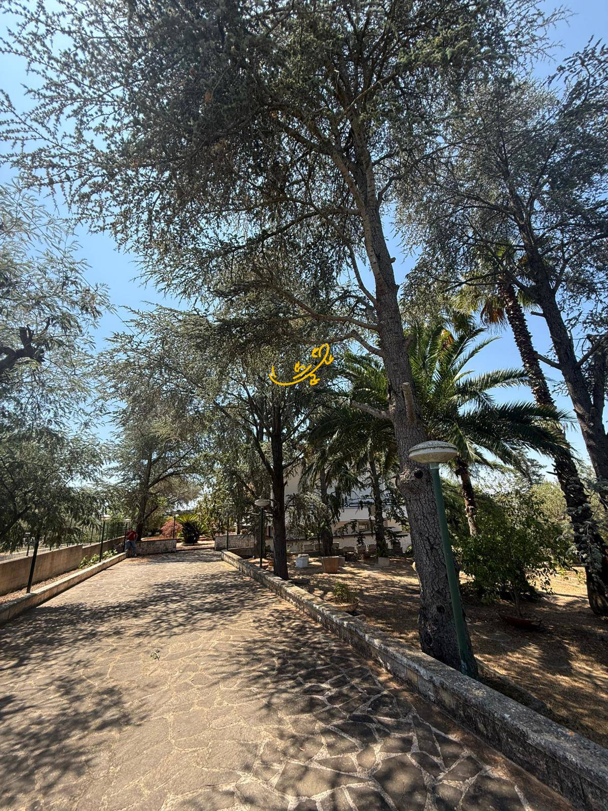 Villa in vendita a Putignano