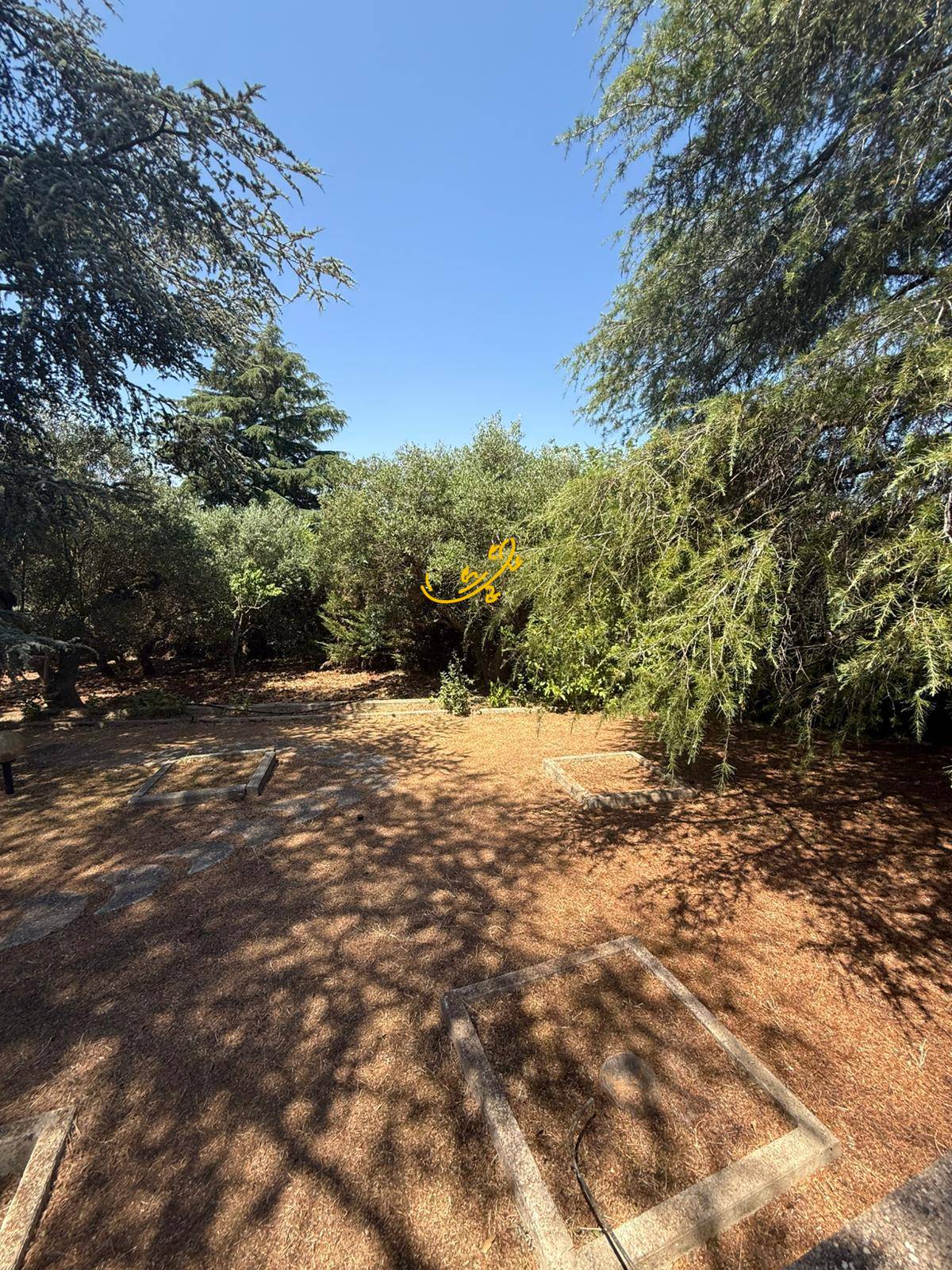 Villa in vendita a Putignano