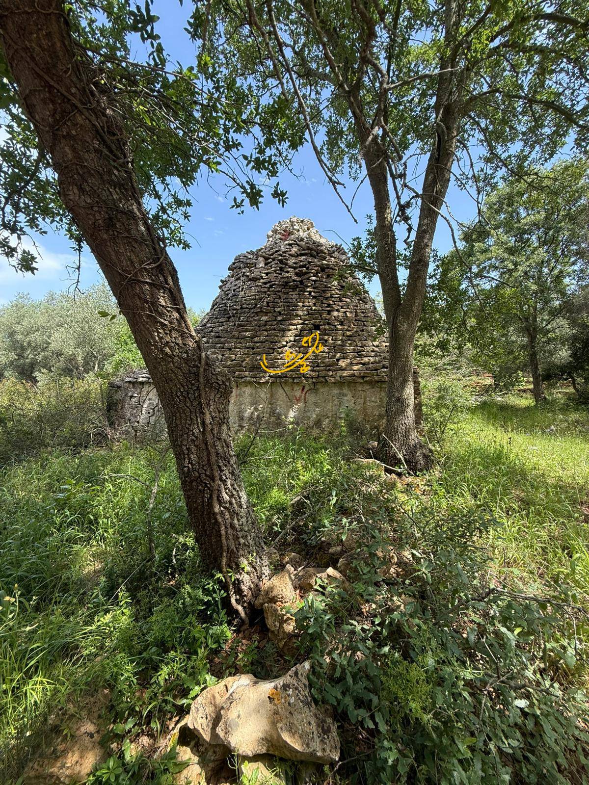 Trullo in vendita a Monopoli