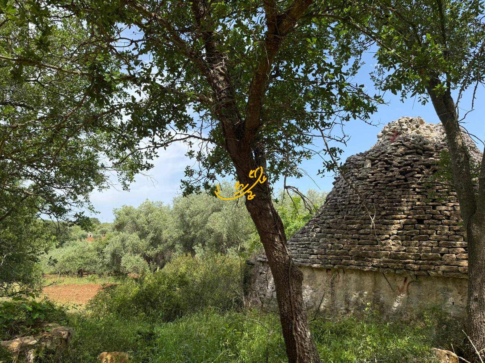 Trullo in vendita a Monopoli