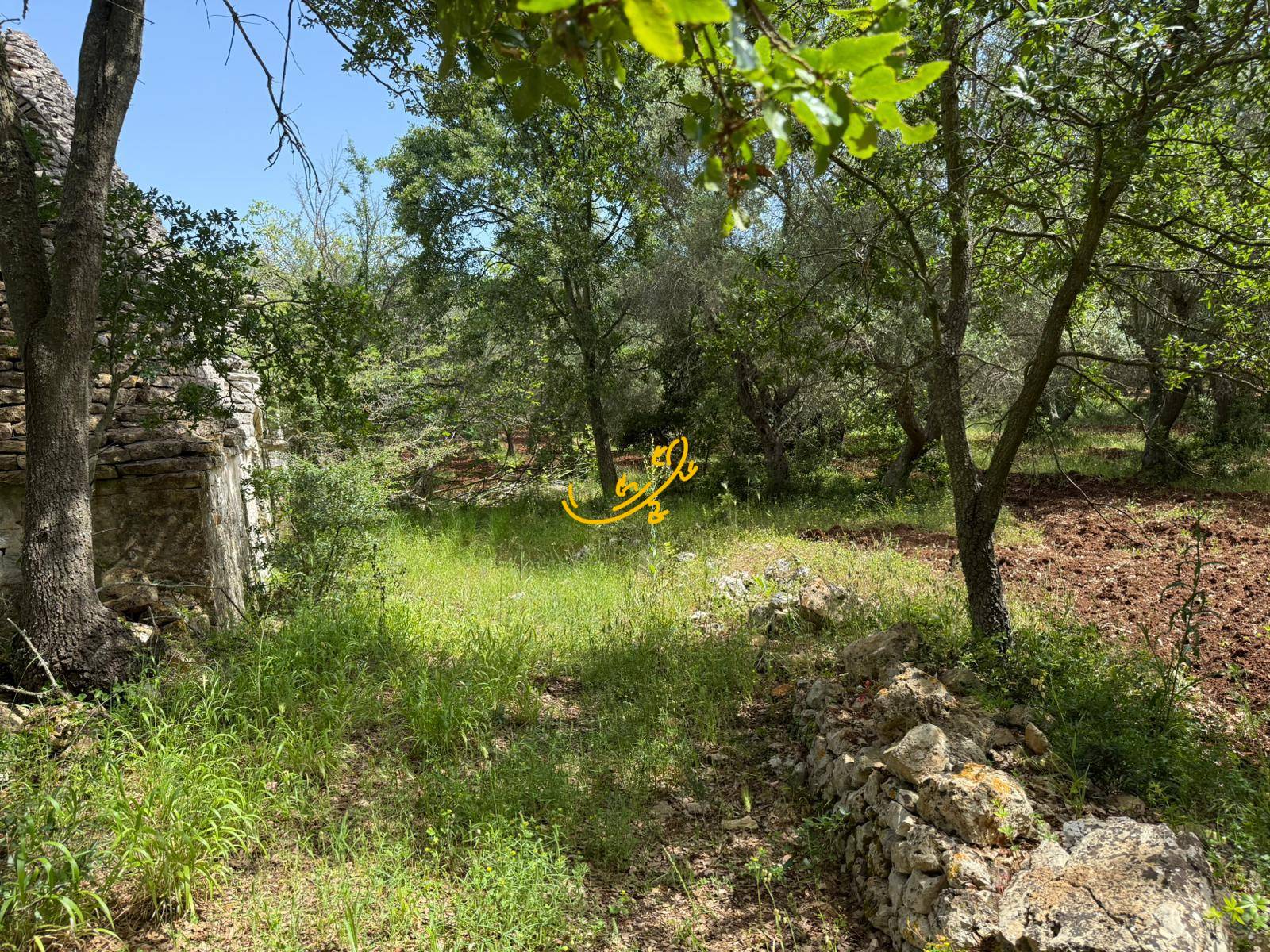 Trullo in vendita a Monopoli