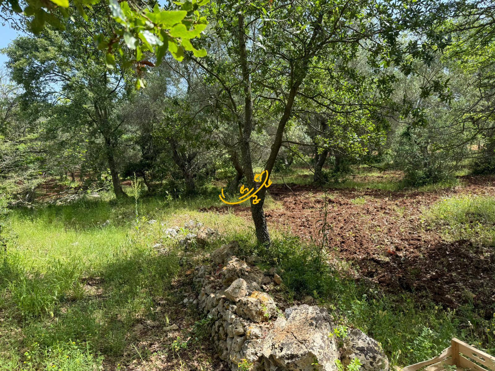 Trullo in vendita a Monopoli