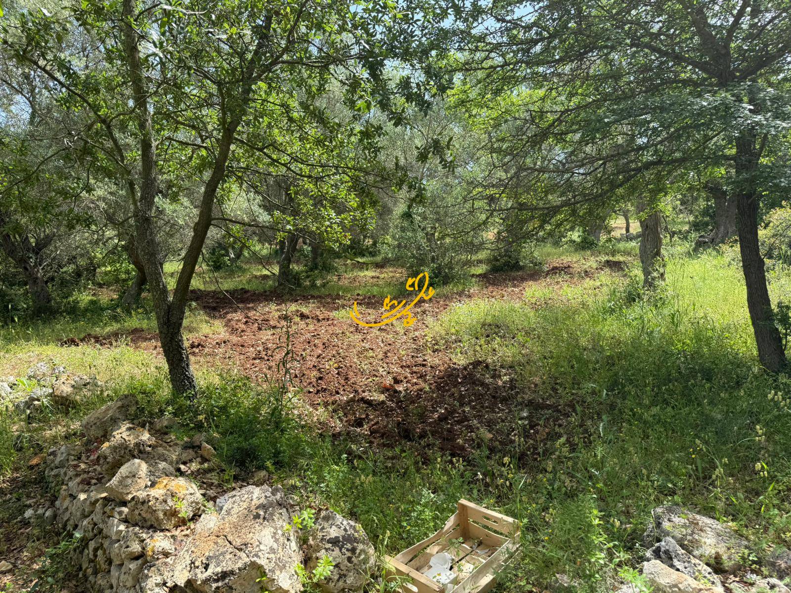 Trullo in vendita a Monopoli