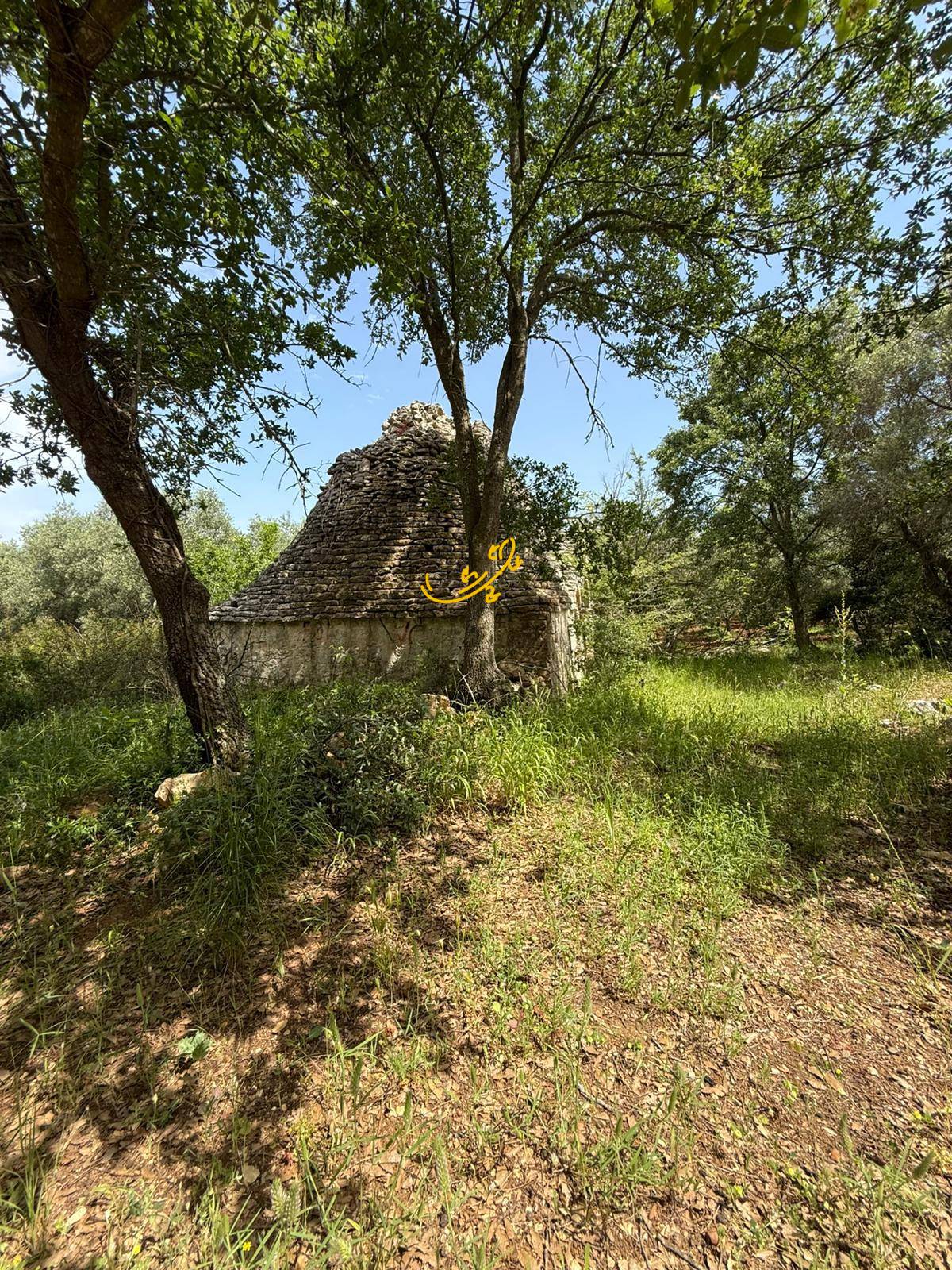 Trullo in vendita a Monopoli