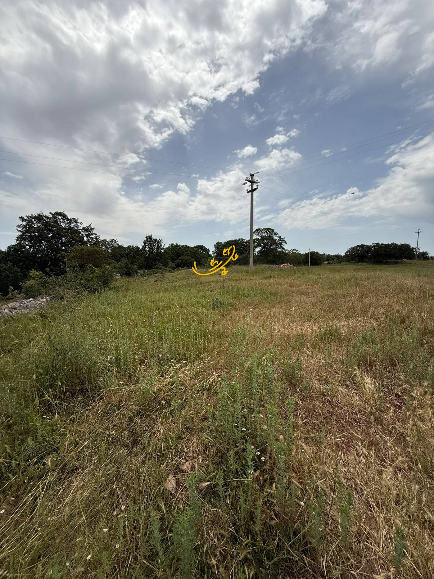 Rustico in vendita a Monopoli