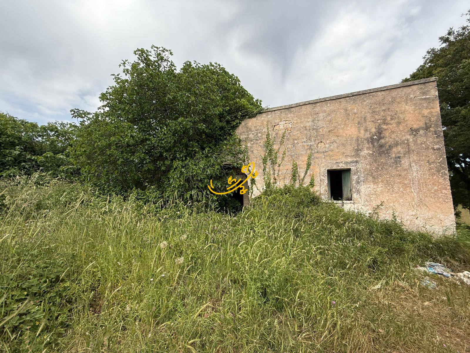 Rustico in vendita a Monopoli