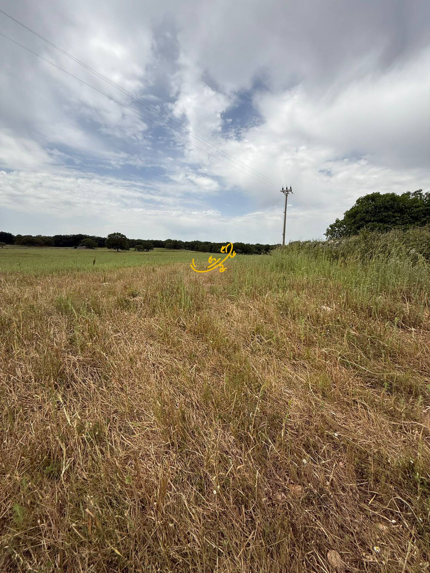 Rustico in vendita a Monopoli