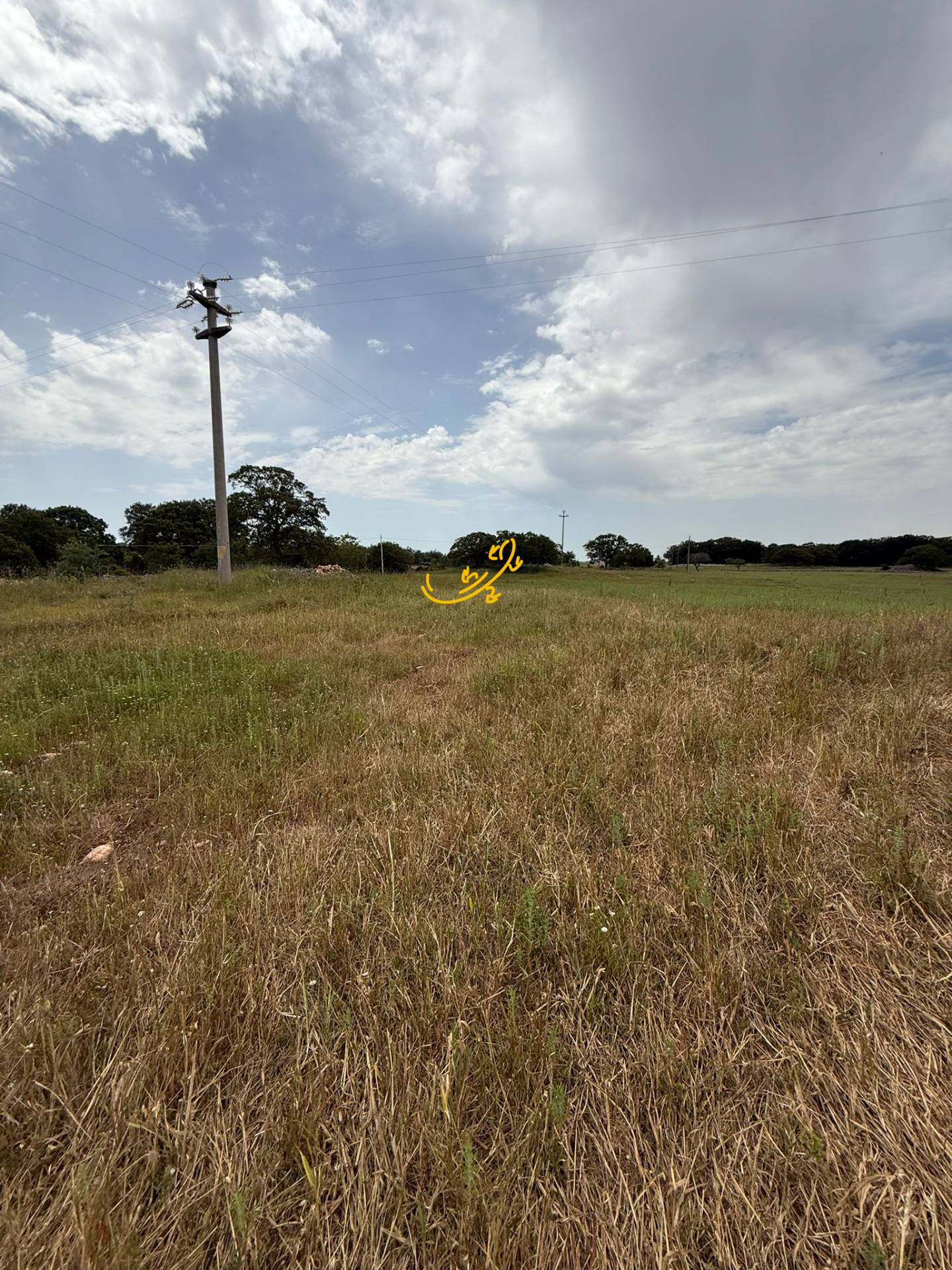 Rustico in vendita a Monopoli