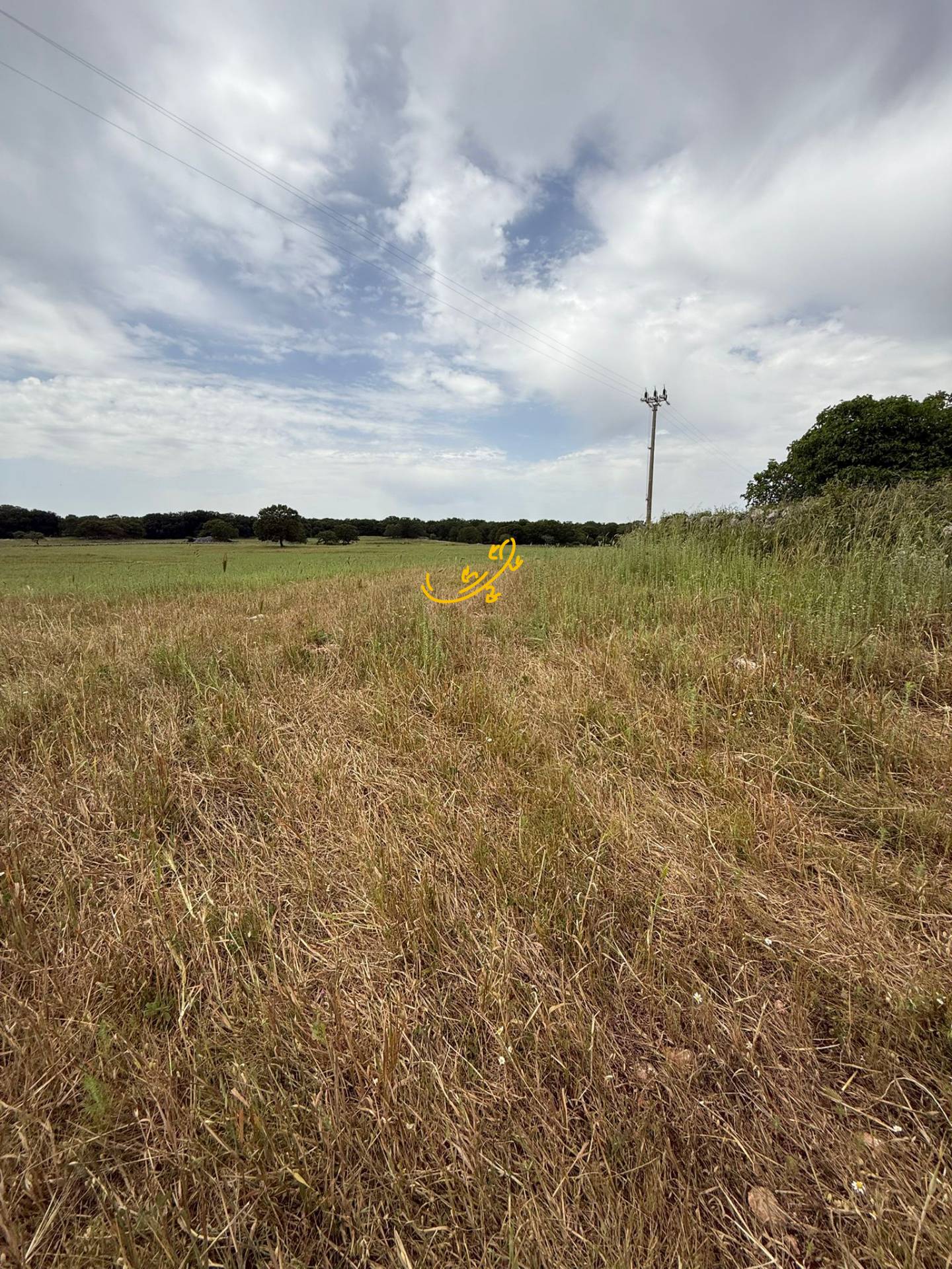 Rustico in vendita a Monopoli