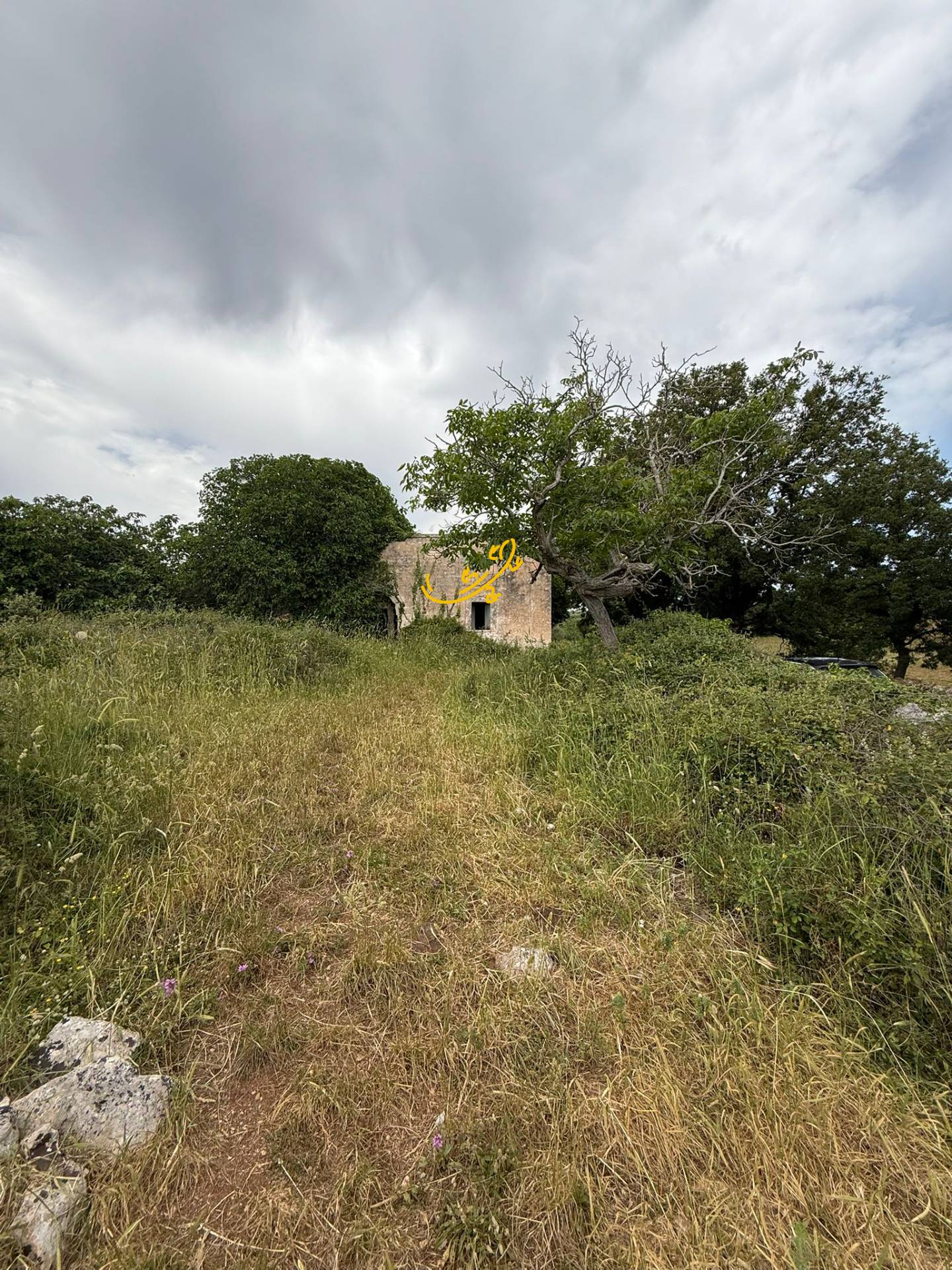 Rustico in vendita a Monopoli