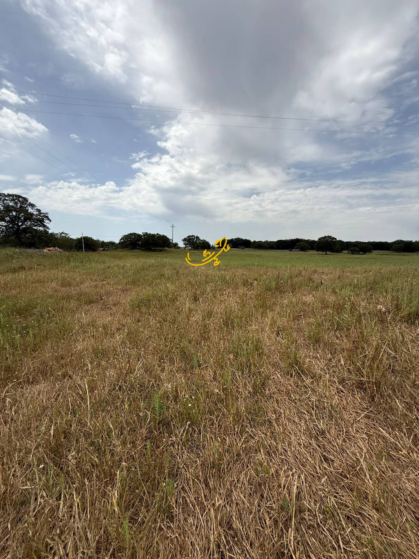 Rustico in vendita a Monopoli