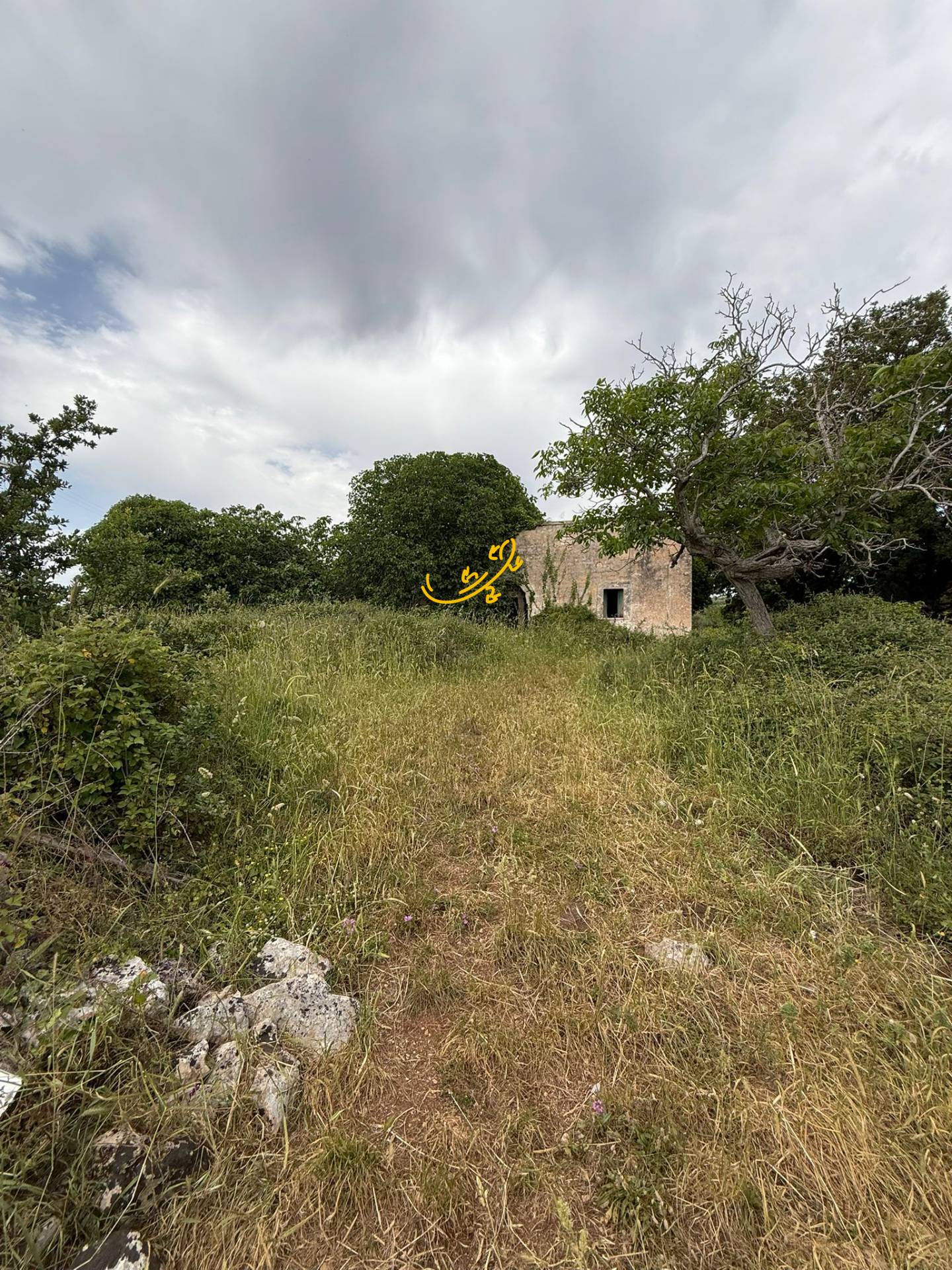 Rustico in vendita a Monopoli