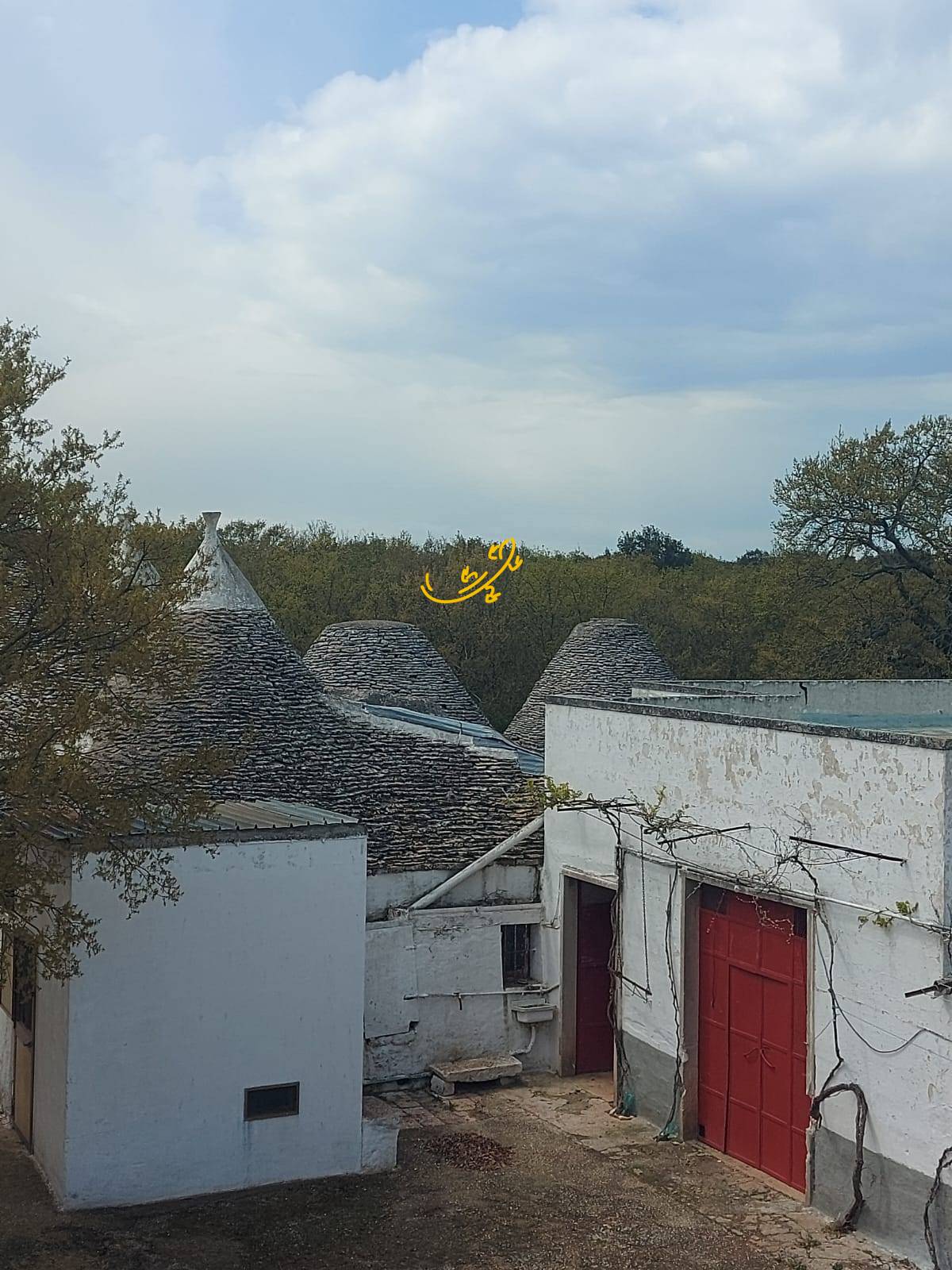 Villa in vendita a Noci