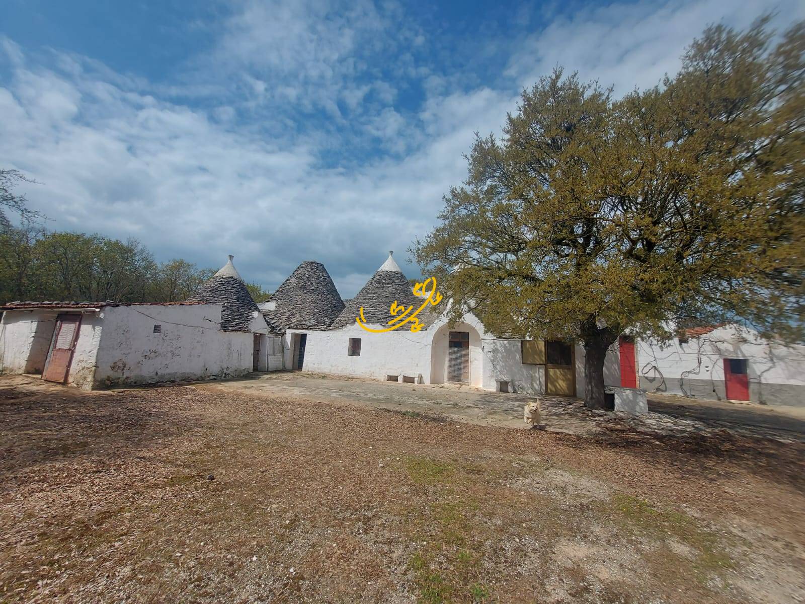 Villa in vendita a Noci