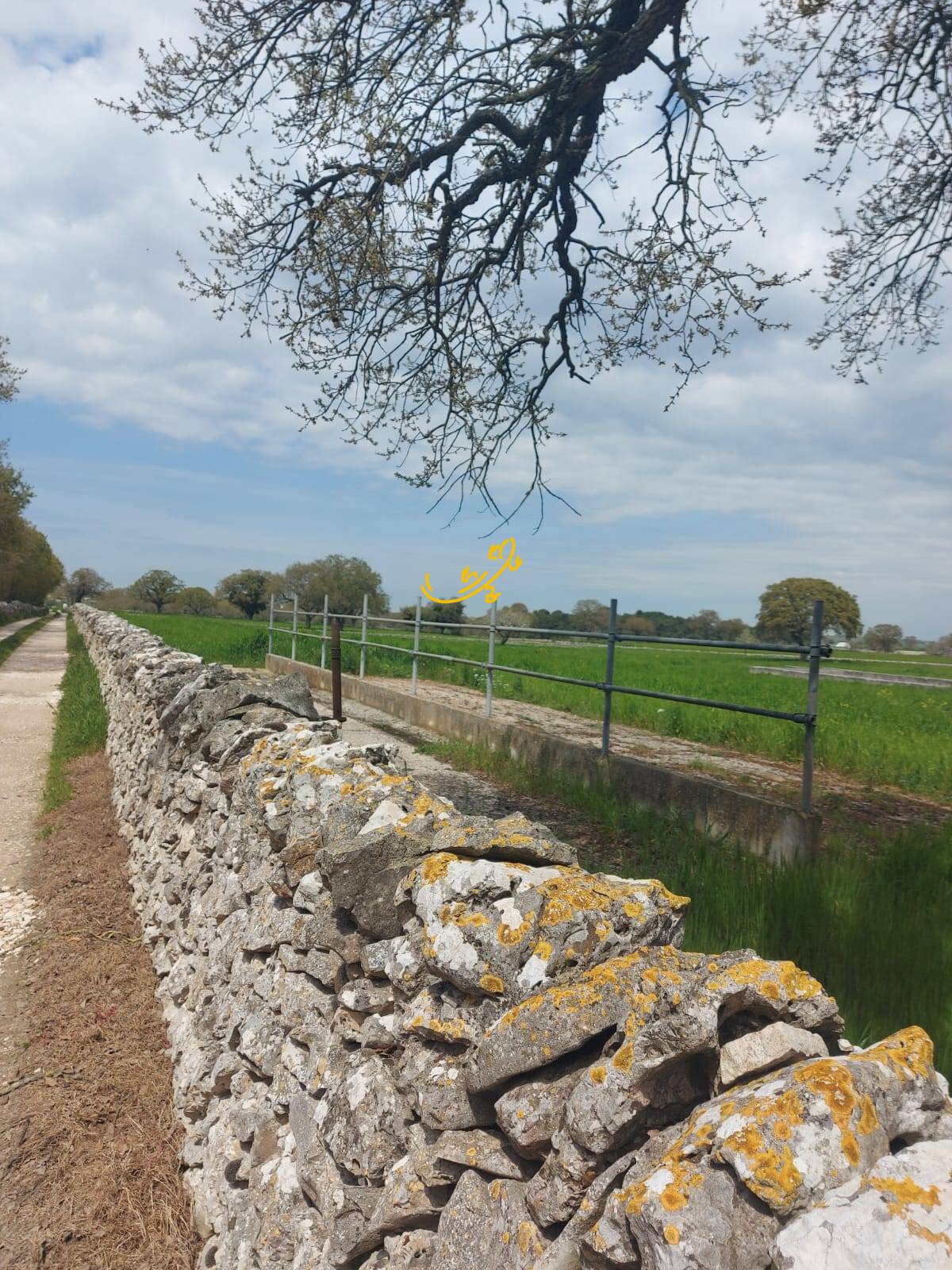 Villa in vendita a Noci