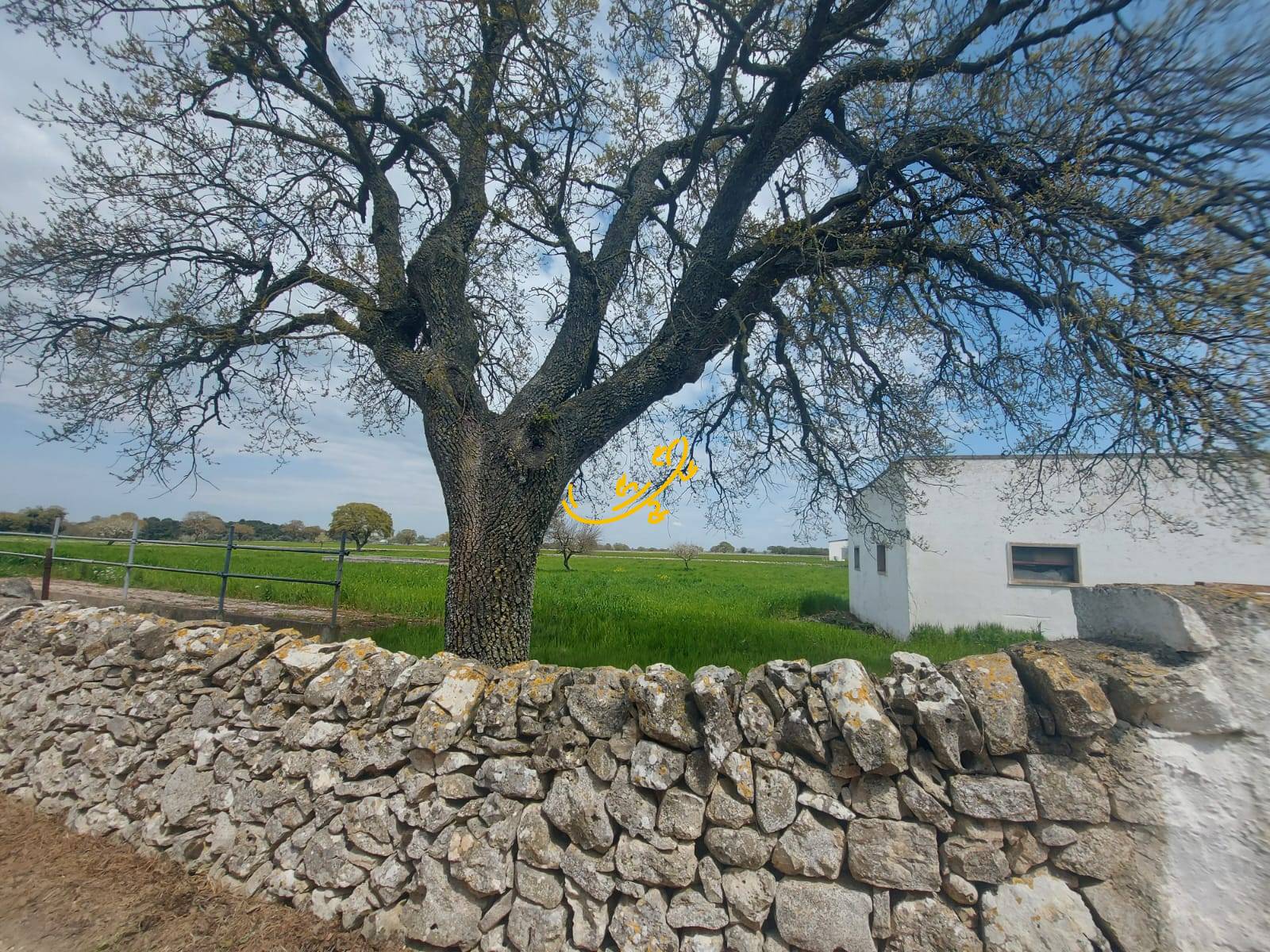 Villa in vendita a Noci