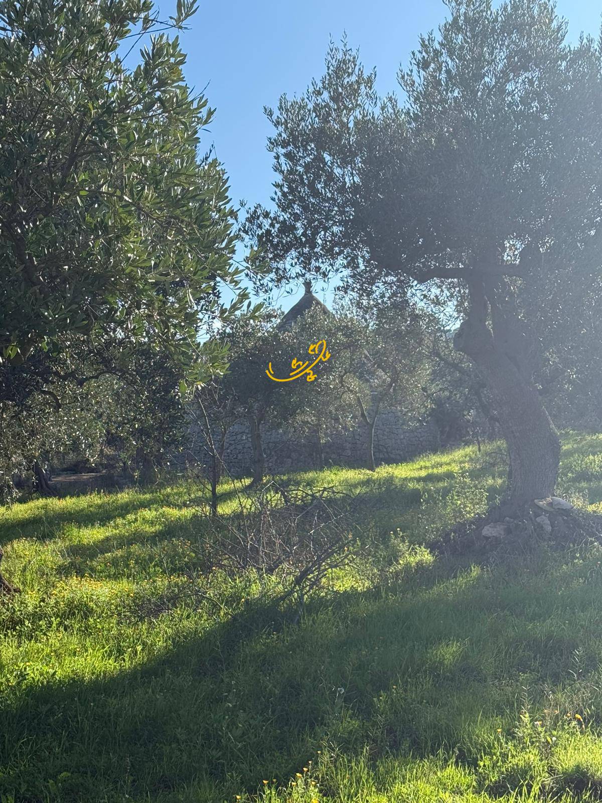Trullo in vendita a Polignano a Mare