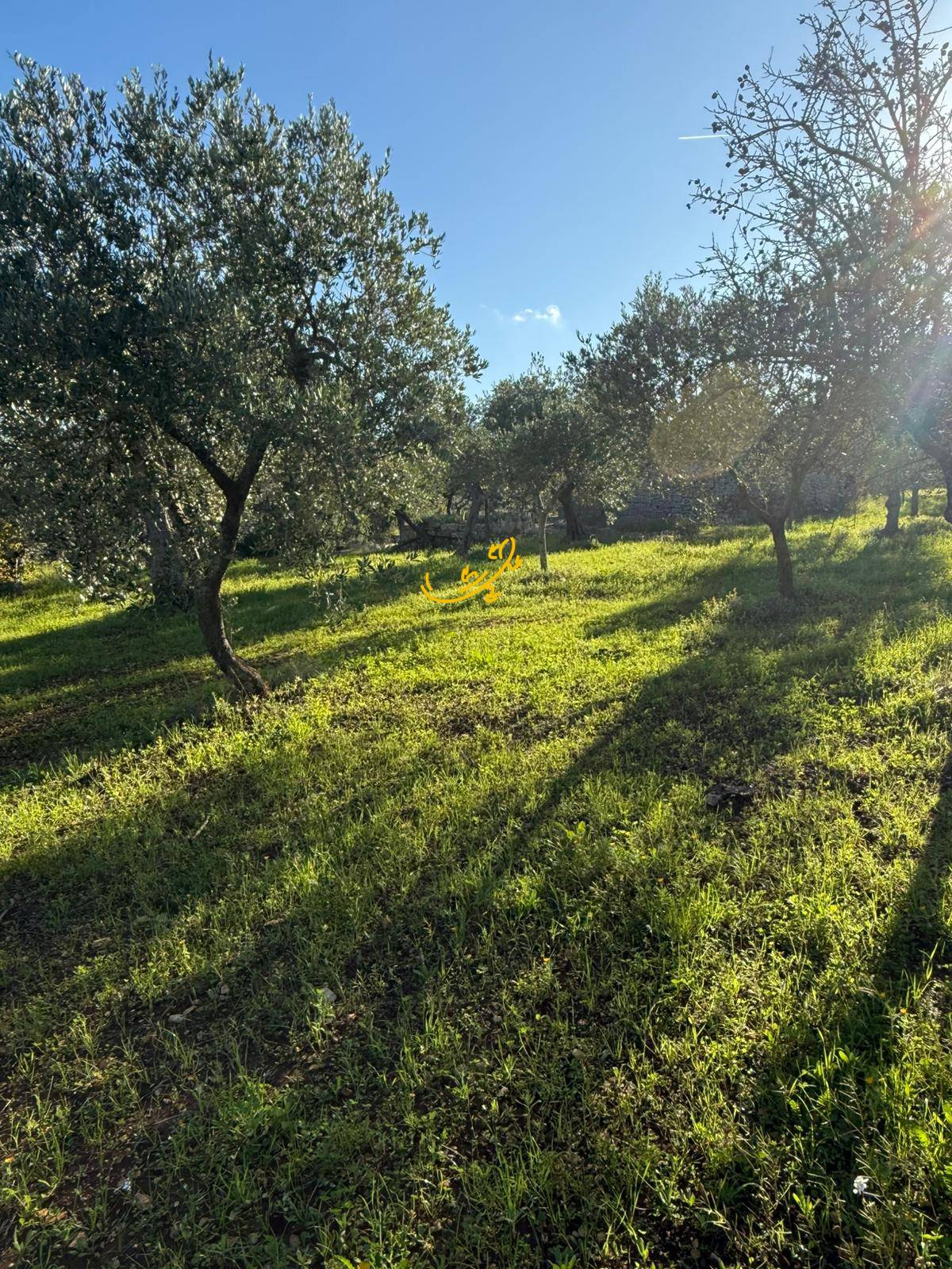 Trullo in vendita a Polignano a Mare