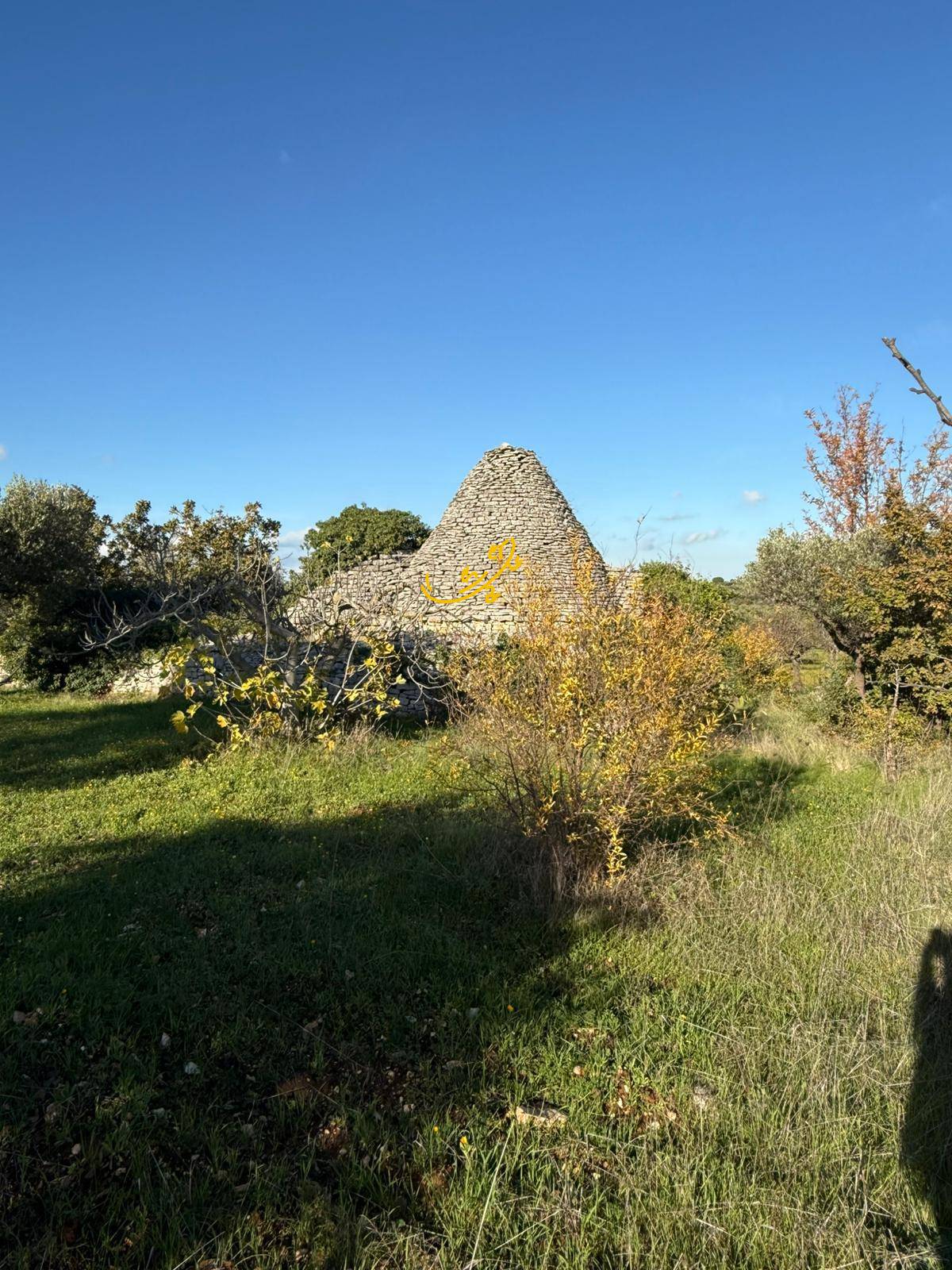 Trullo in vendita a Polignano a Mare