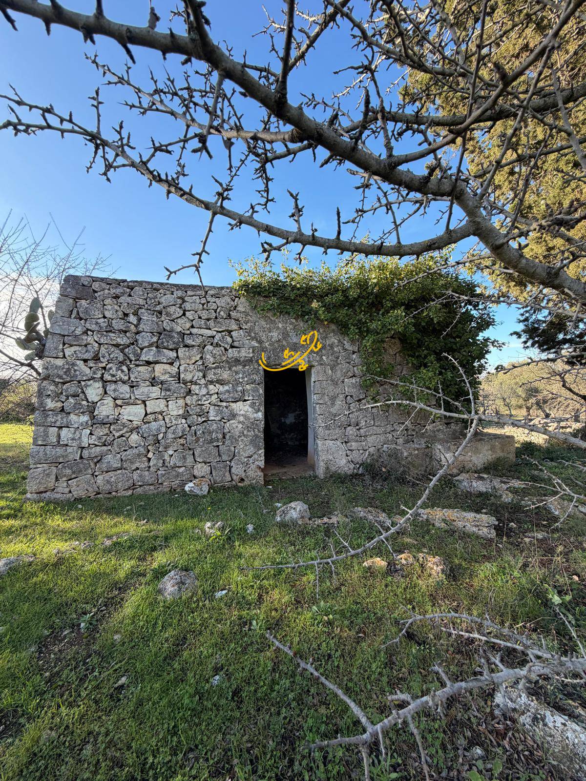 Casale in vendita a Ceglie Messapica