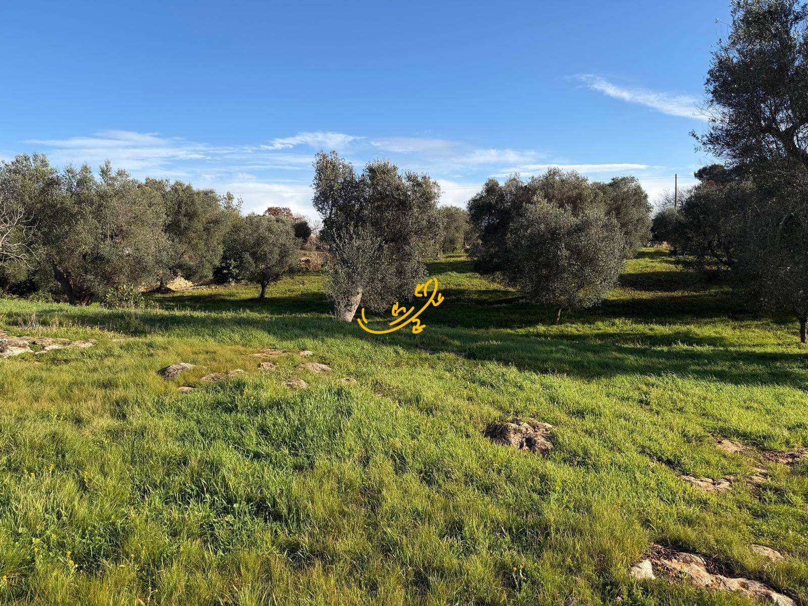 Casale in vendita a Ceglie Messapica