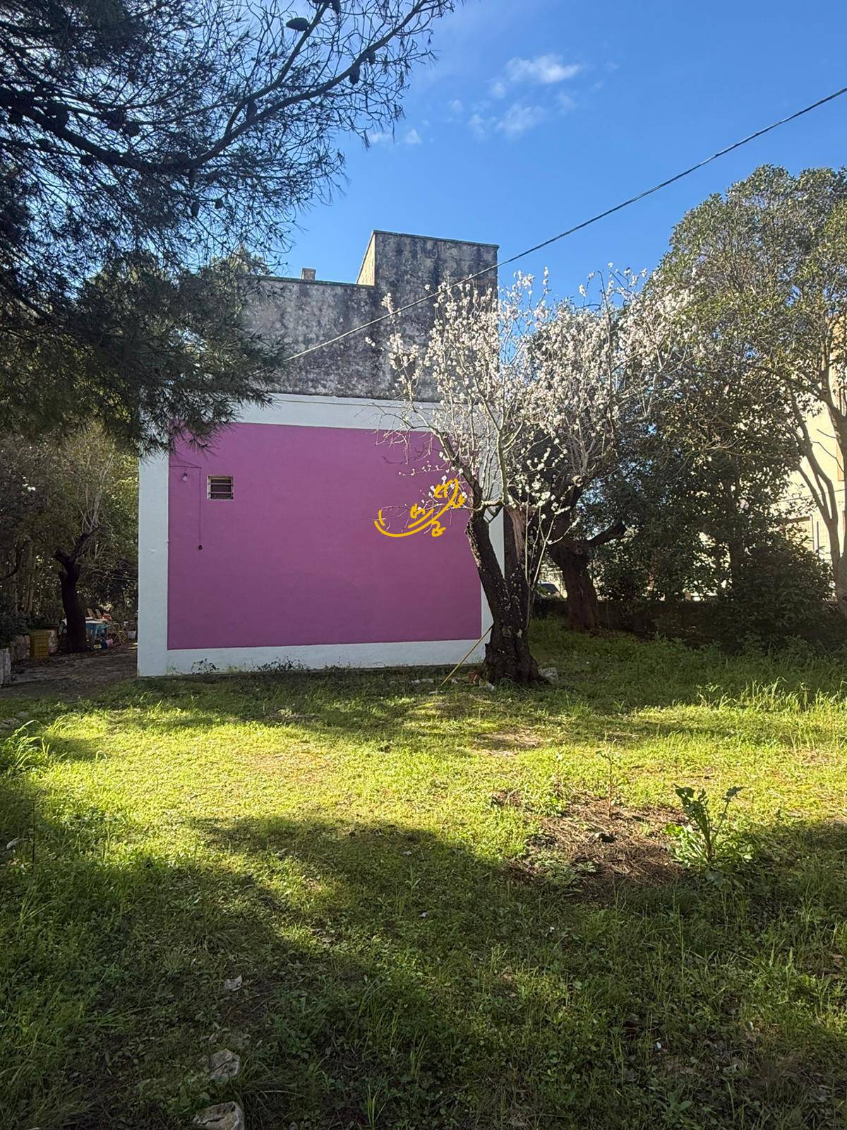 Rustico in vendita a Castellana Grotte