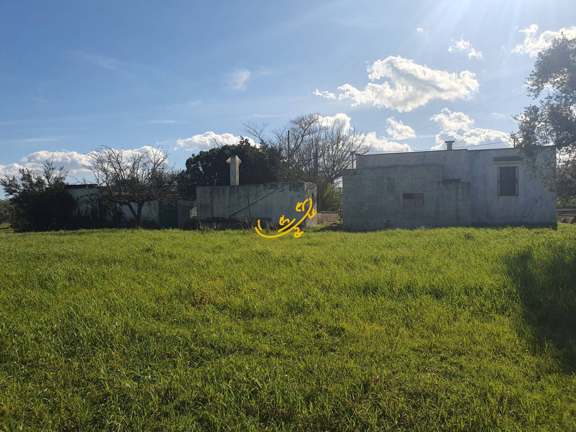 Casale in vendita a Ostuni