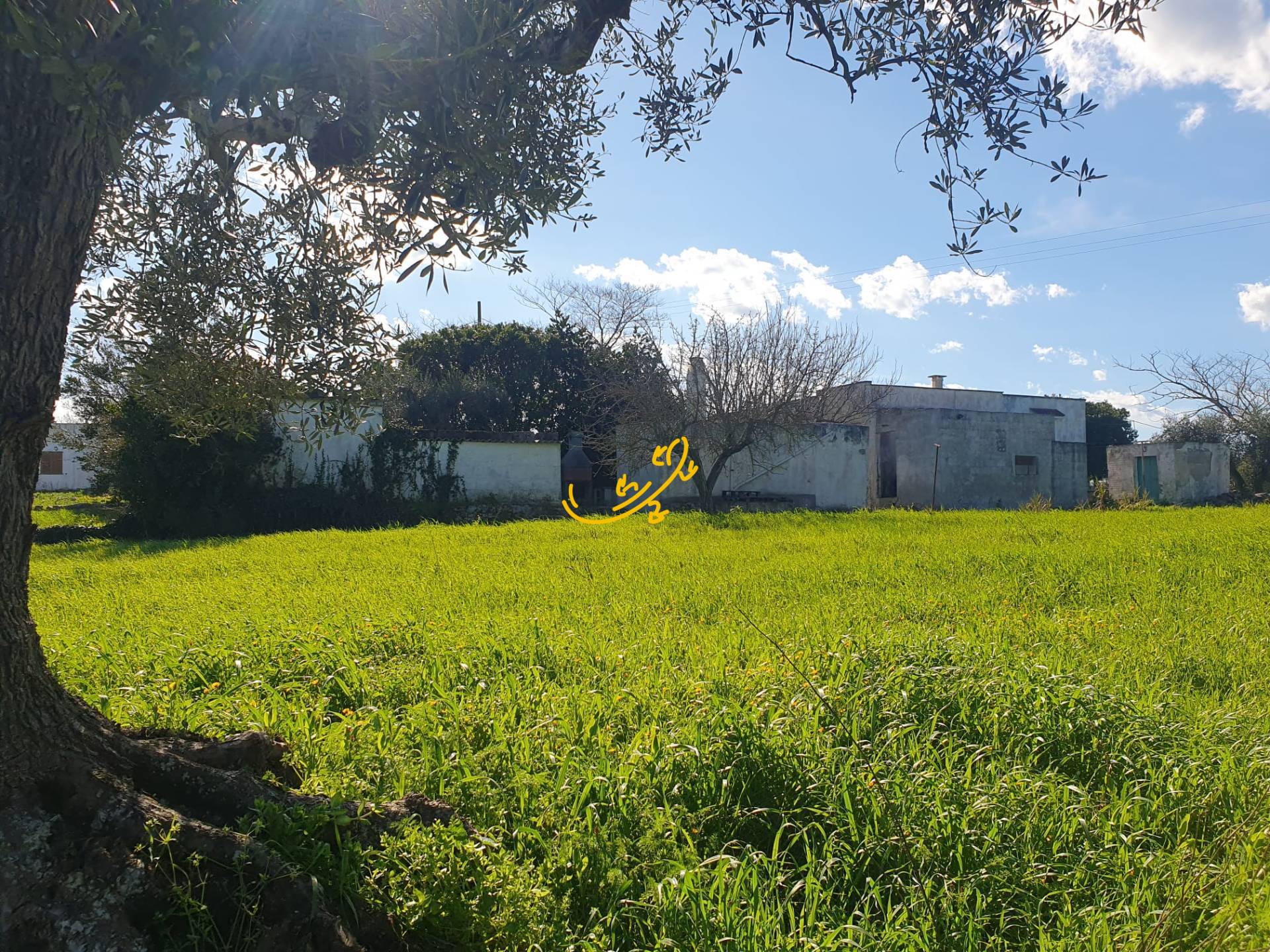 Casale in vendita a Ostuni