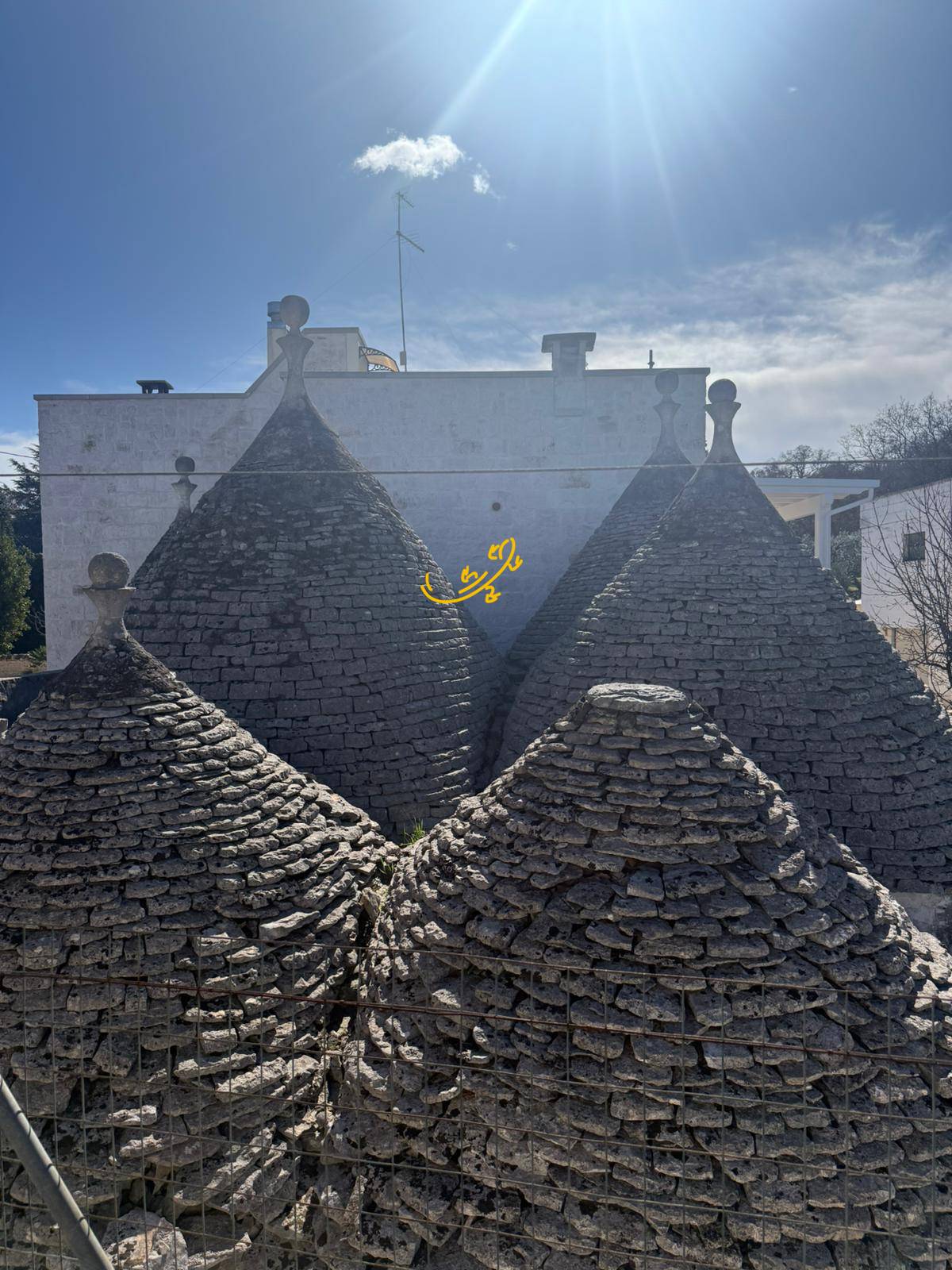 immagine annuncio 3 di 10