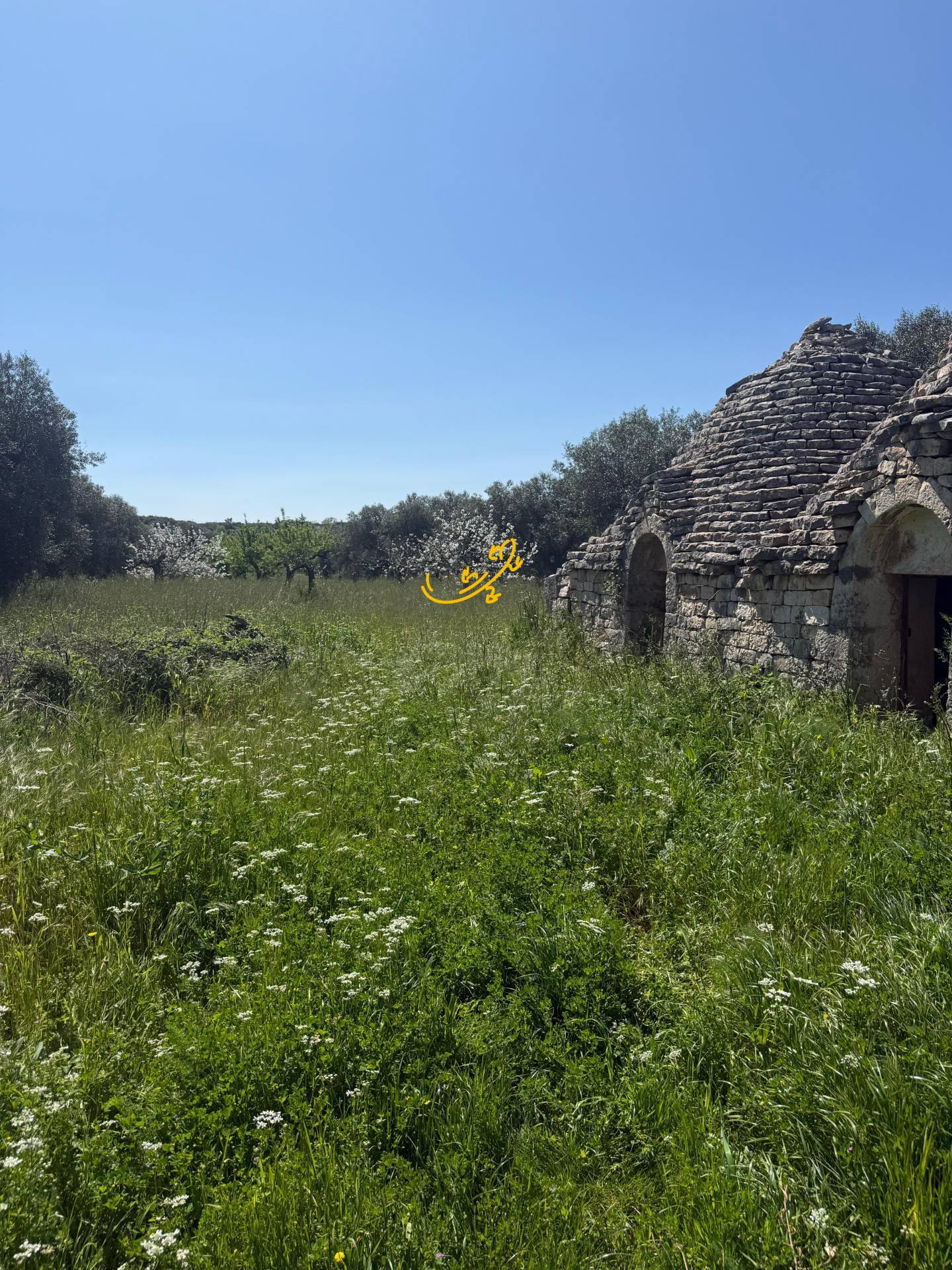 Trullo in vendita a Conversano