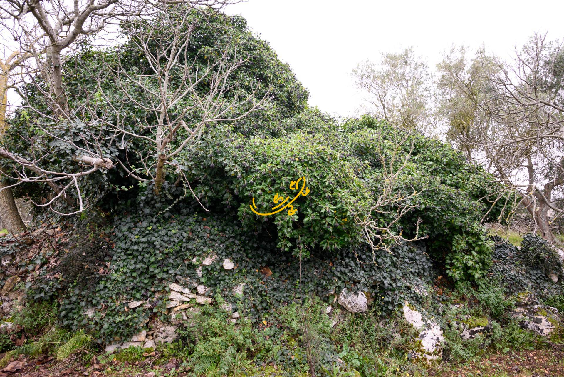 Trullo in vendita a Noci