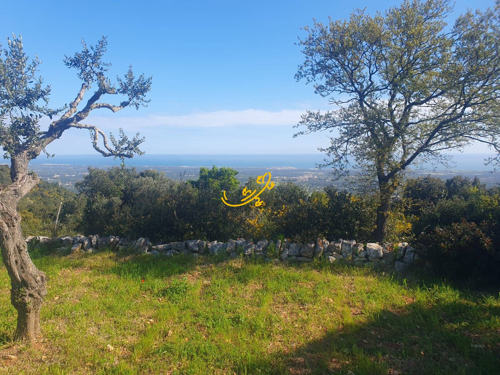 Trullo in vendita a Cisternino