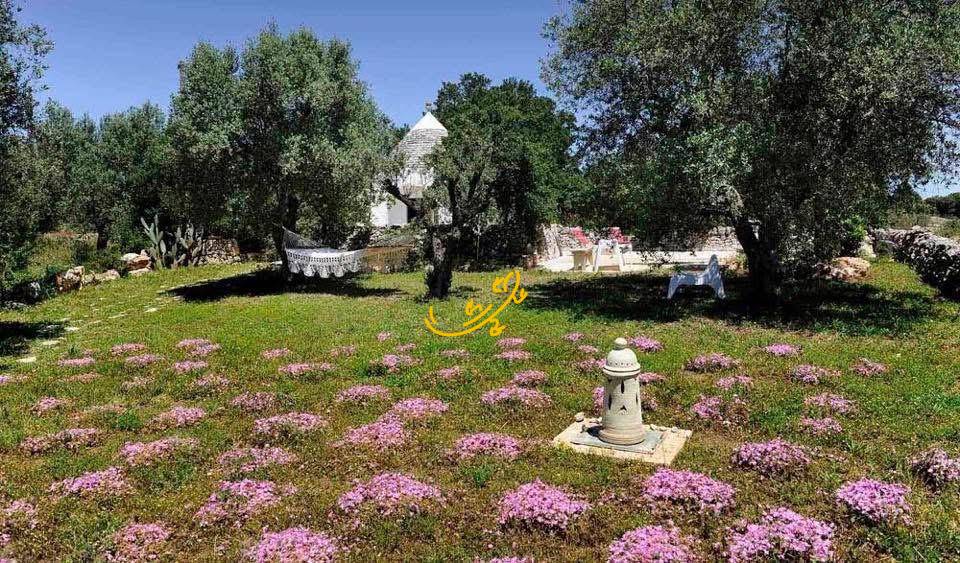 Trullo in vendita a Cisternino