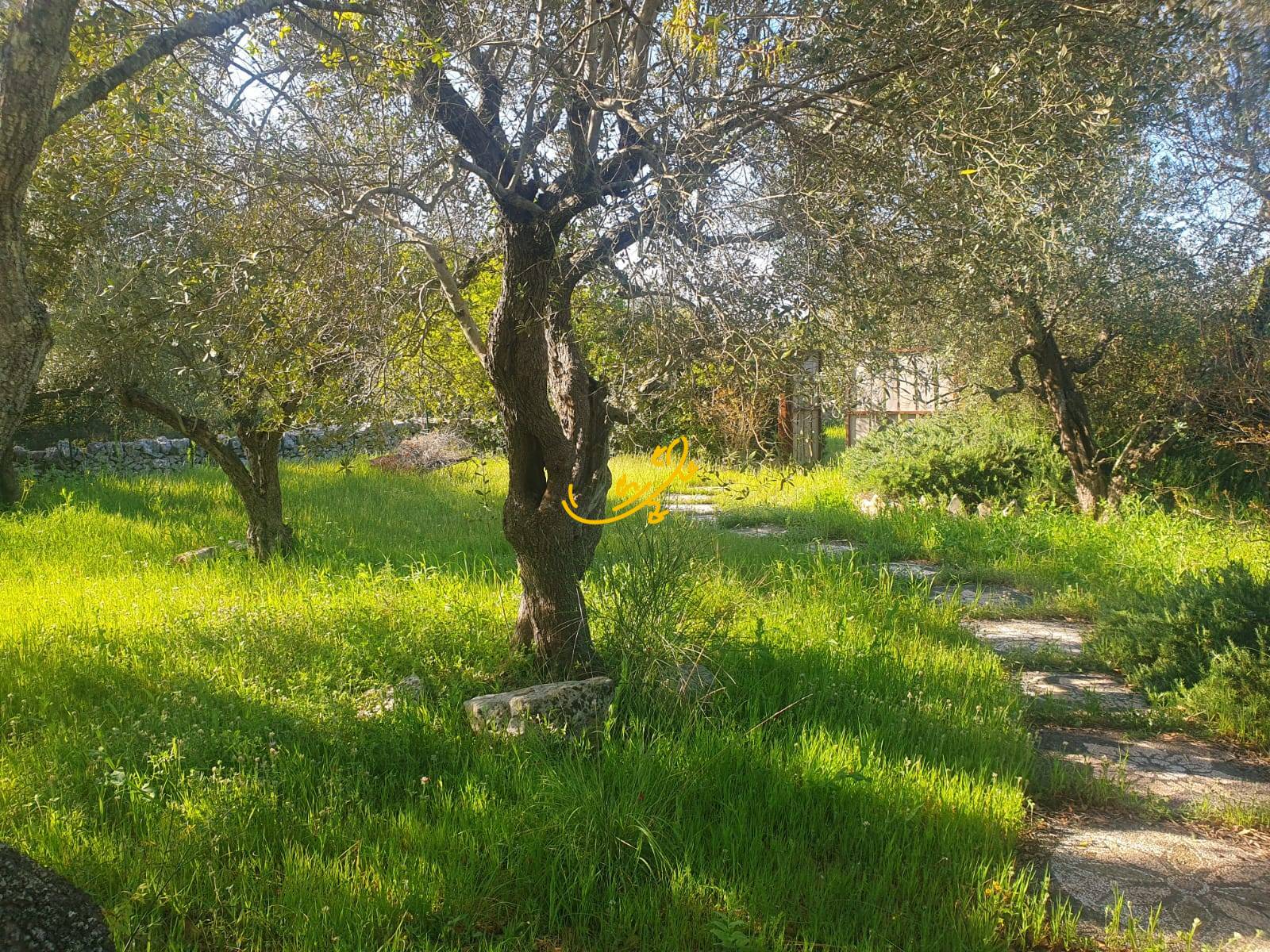 Trullo in vendita a Cisternino