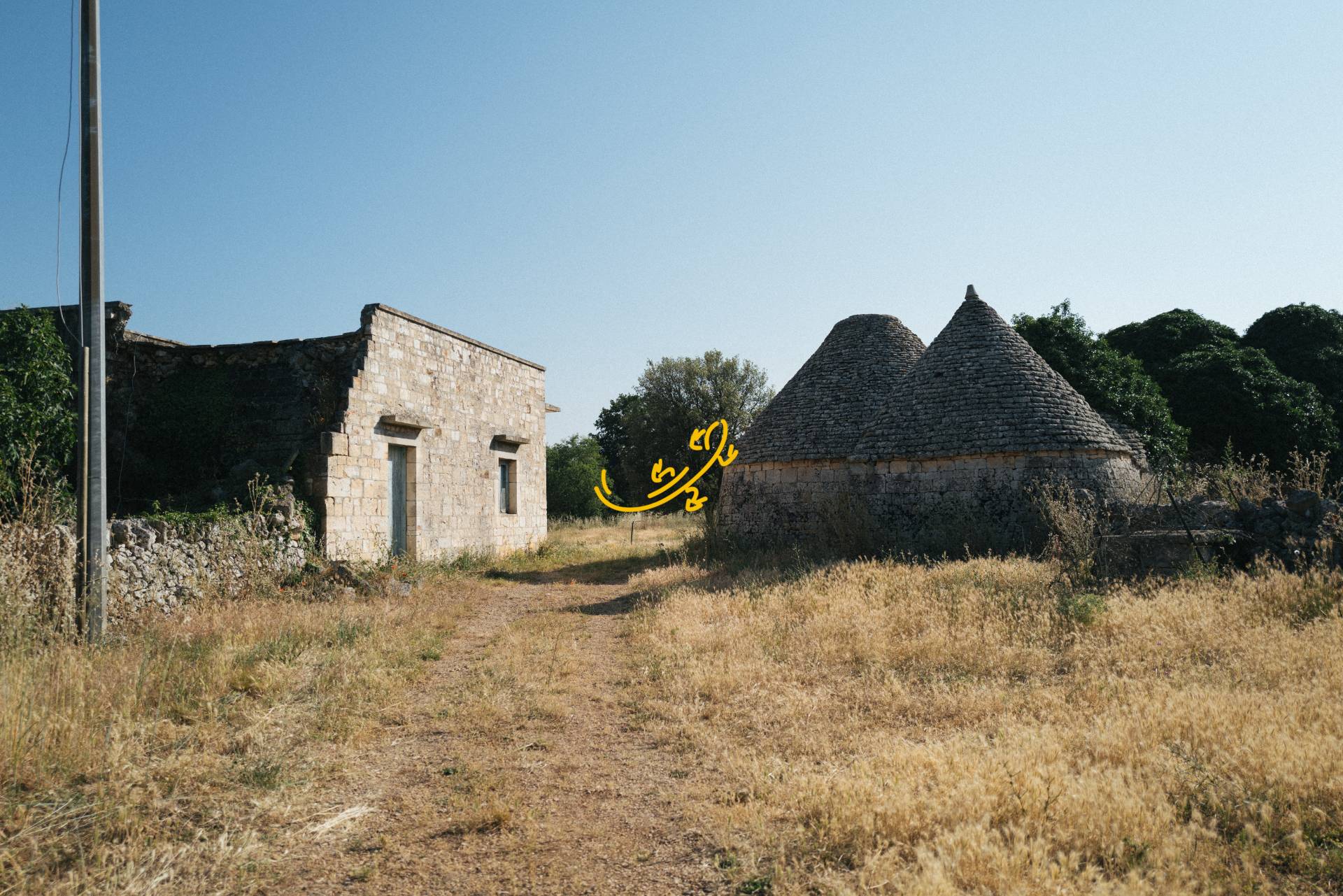 immagine annuncio 5 di 10