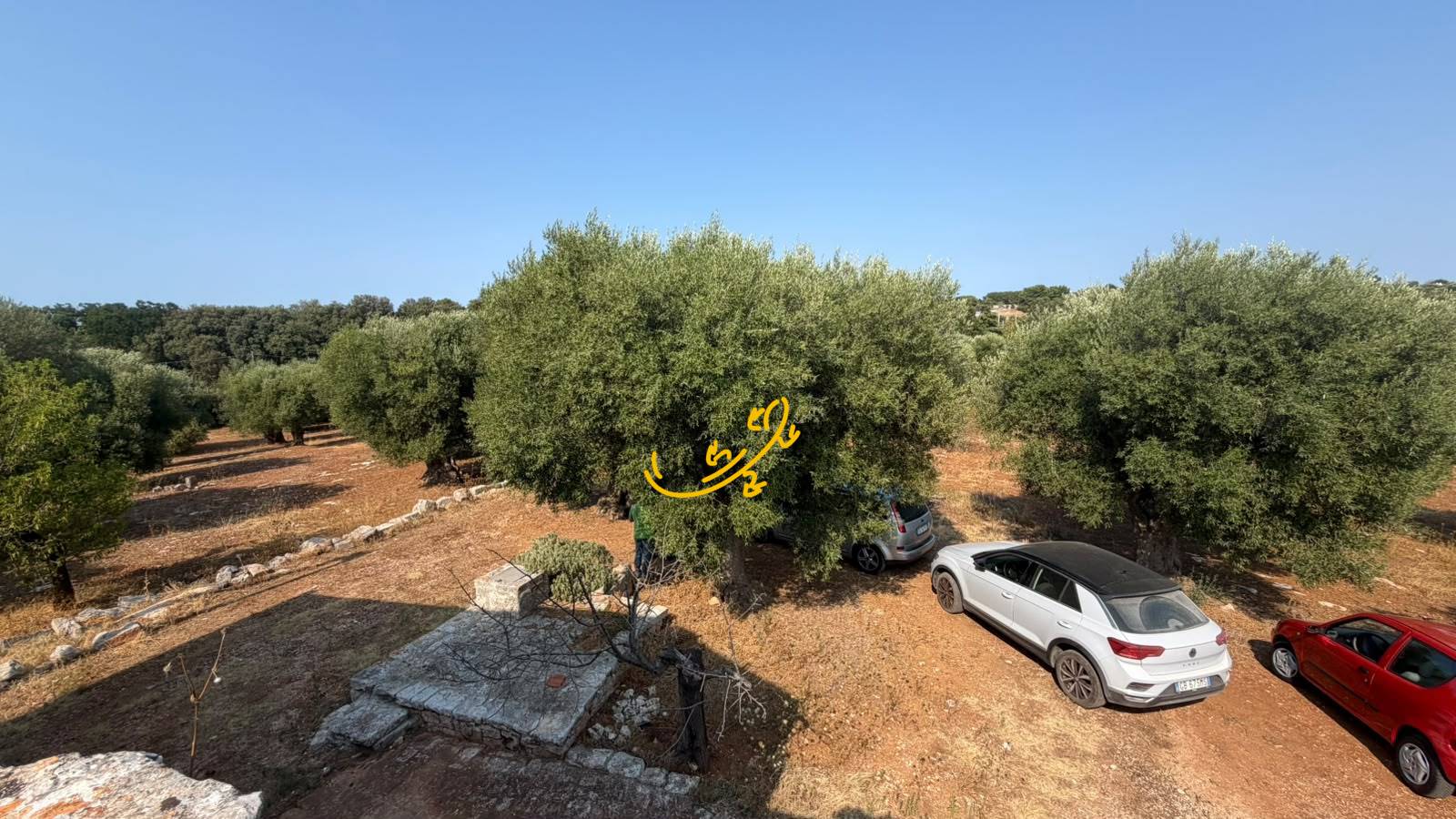 Casale in vendita a Castellana Grotte