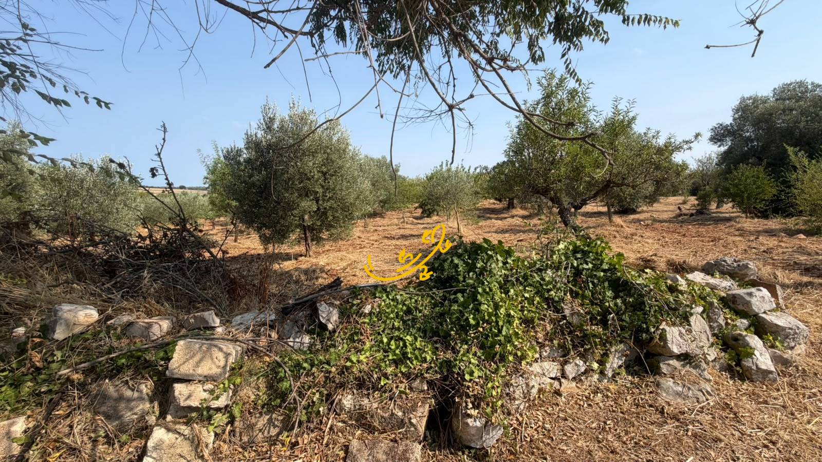 Trullo in vendita a Castellana Grotte