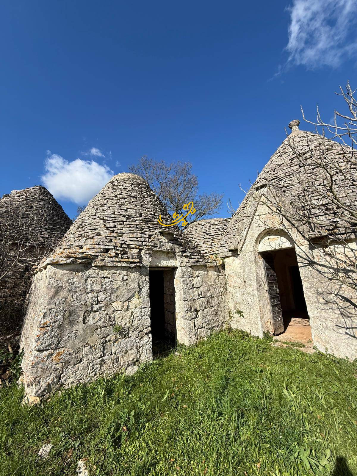 Trullo in vendita a Martina Franca