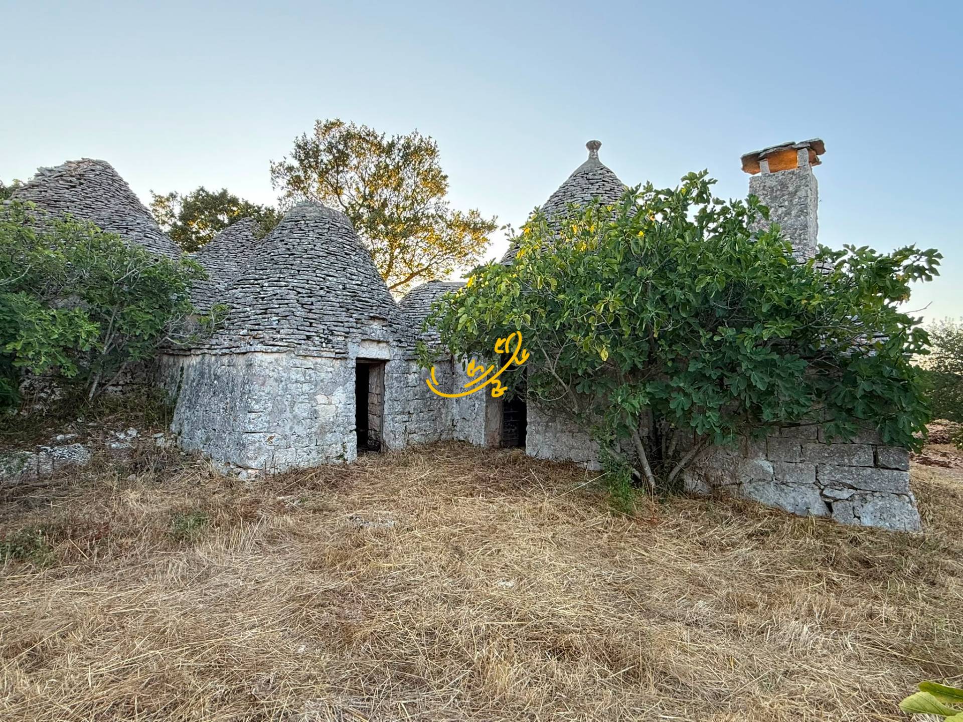 Trullo in vendita a Martina Franca
