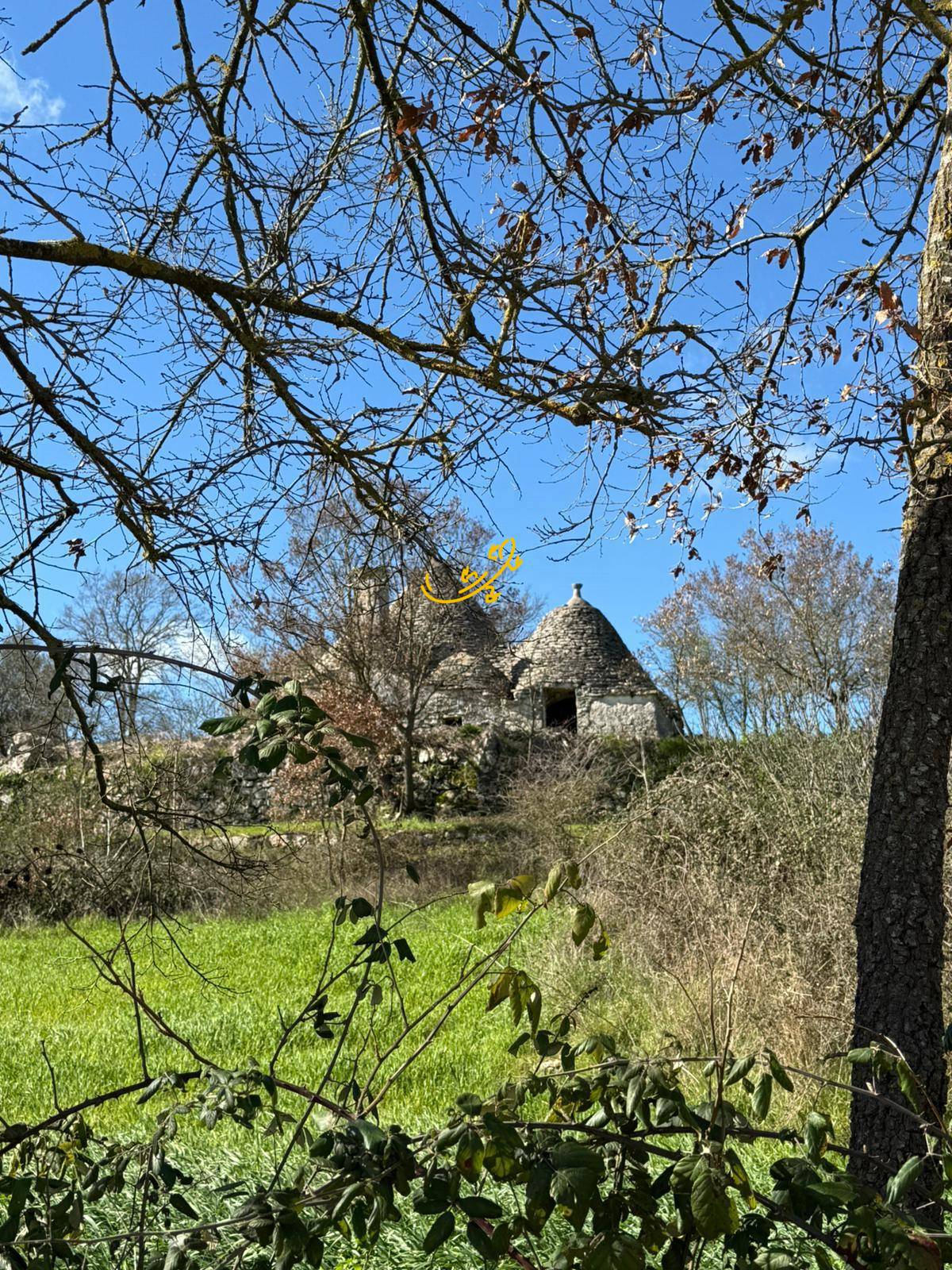 Trullo in vendita a Martina Franca
