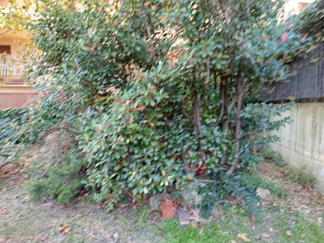 Appartamento con giardino a Prato