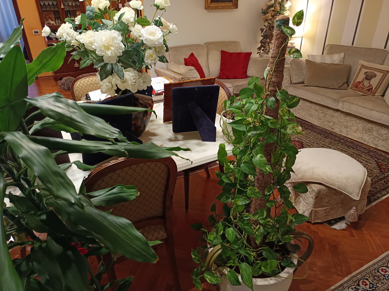 Appartamento con terrazzo in viale montegrappa, Prato