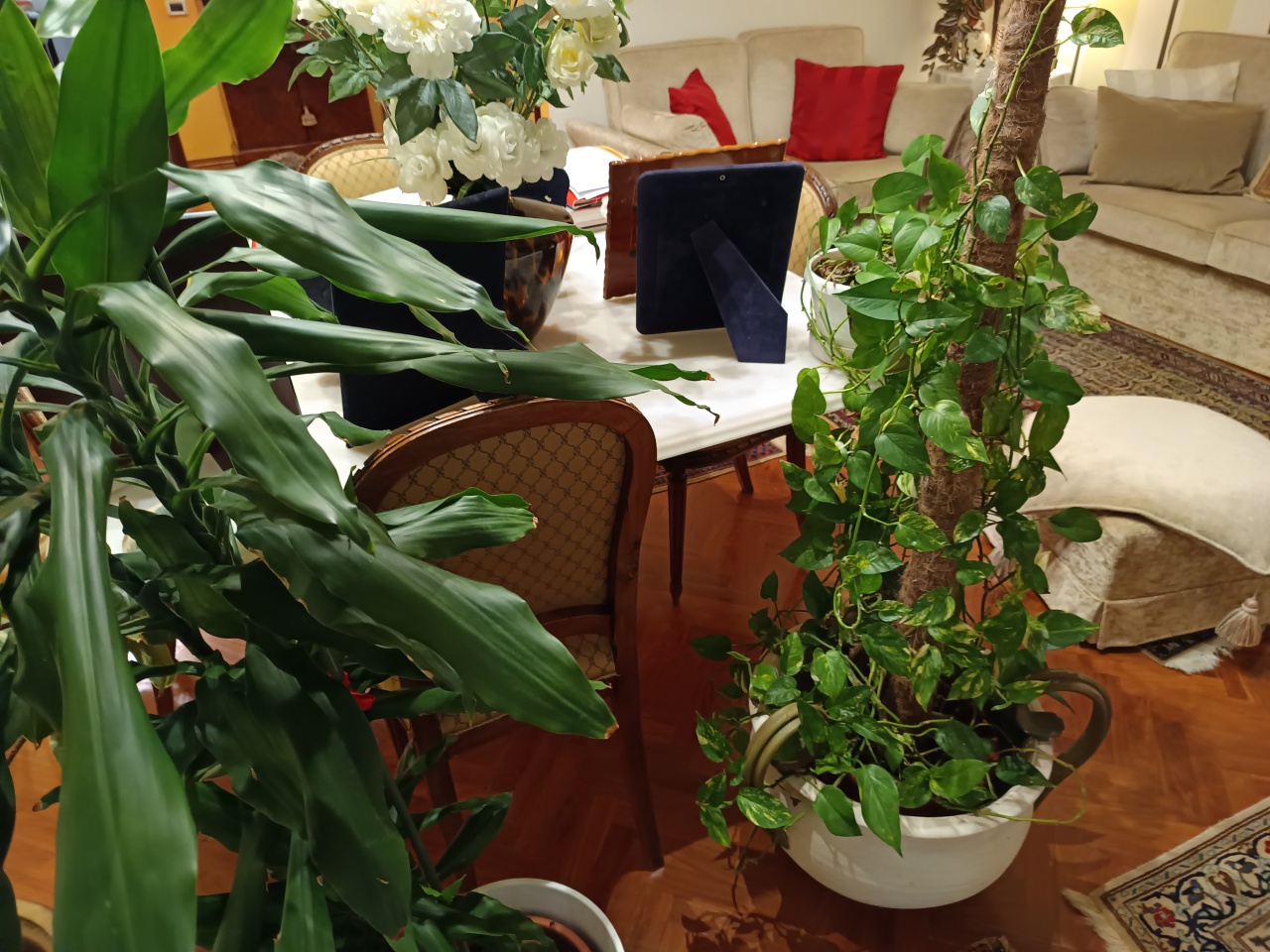 Appartamento con terrazzo in viale montegrappa, Prato