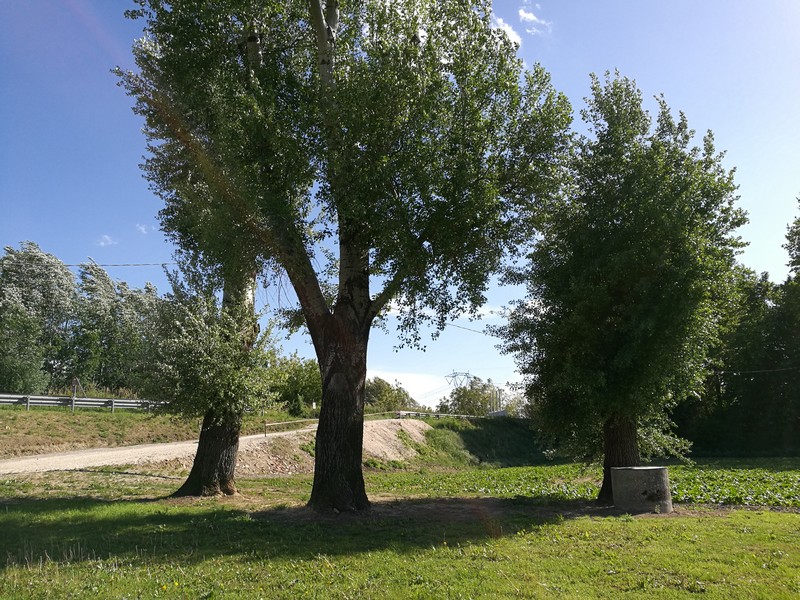 Rustico in vendita a Ravenna, Longana