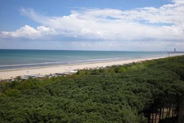 Attivit commerciale in vendita a Cervia, Milano Marittima